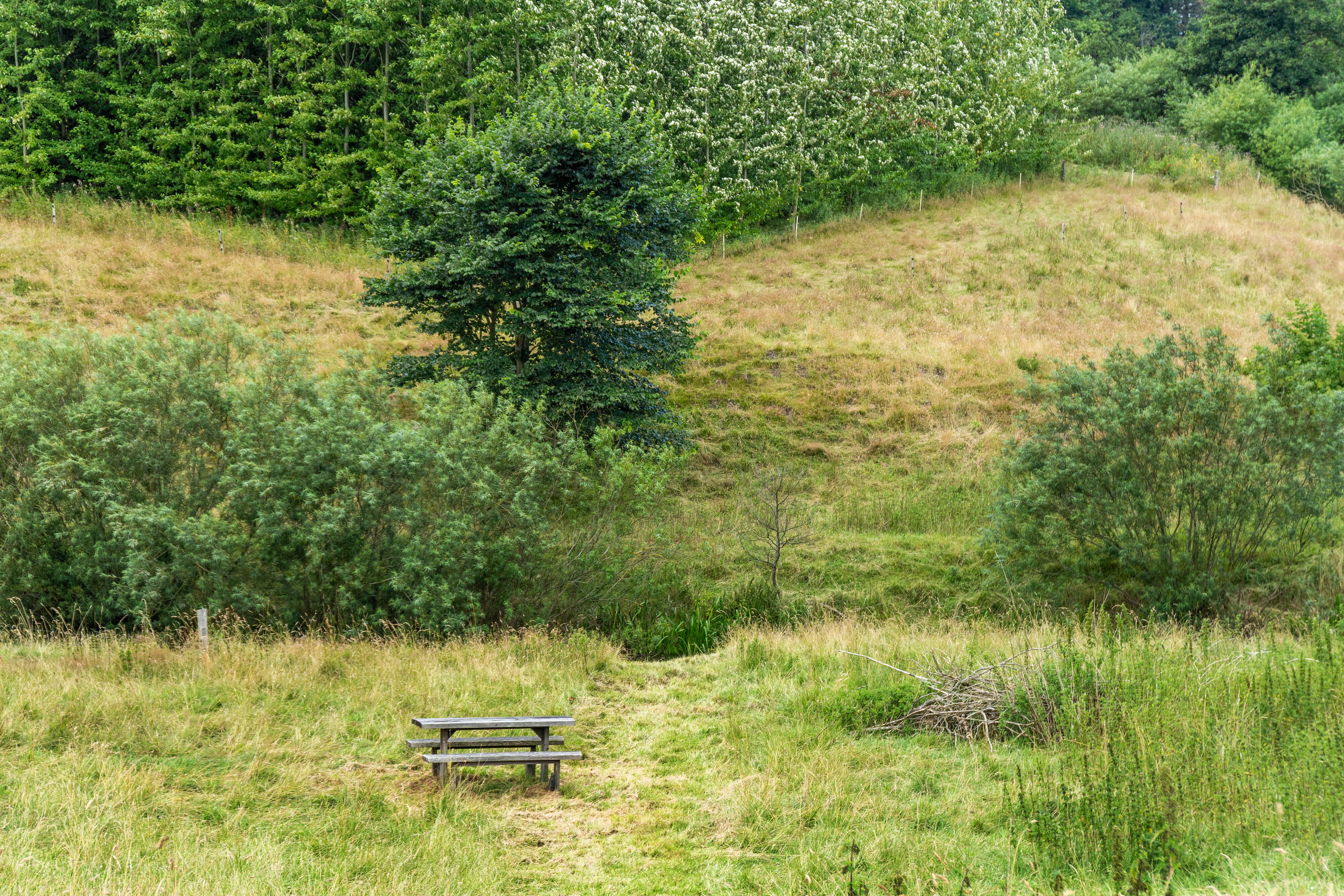 Fremhævet udendørs billede i fuldskærmstilstand. Billede af Tverstedvej 23, Uggerby, 9800 Hjørring