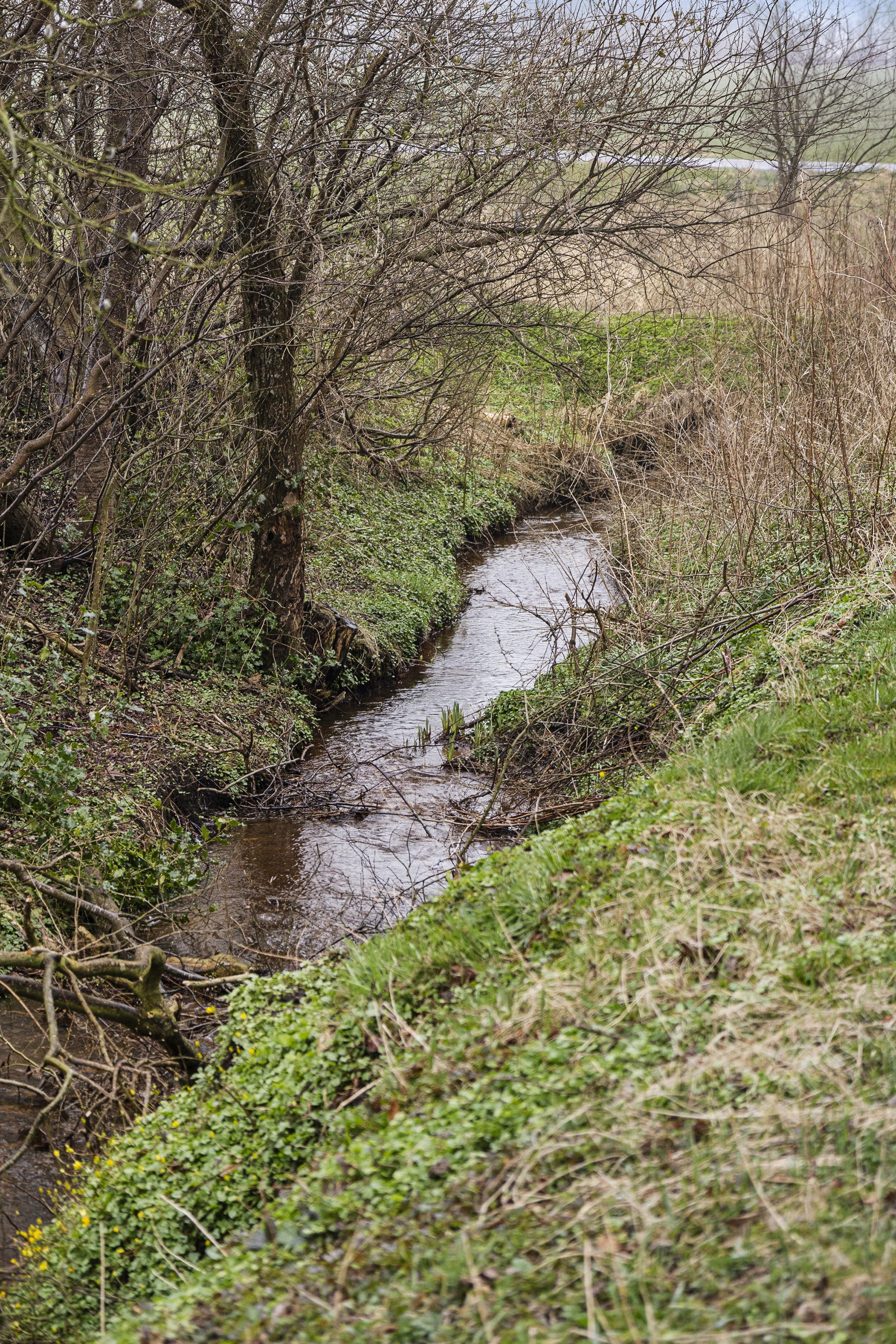 Fremhævet område billede i fuldskærmstilstand. Billede af Kystbækvej 4, Holsted St, 6670 Holsted