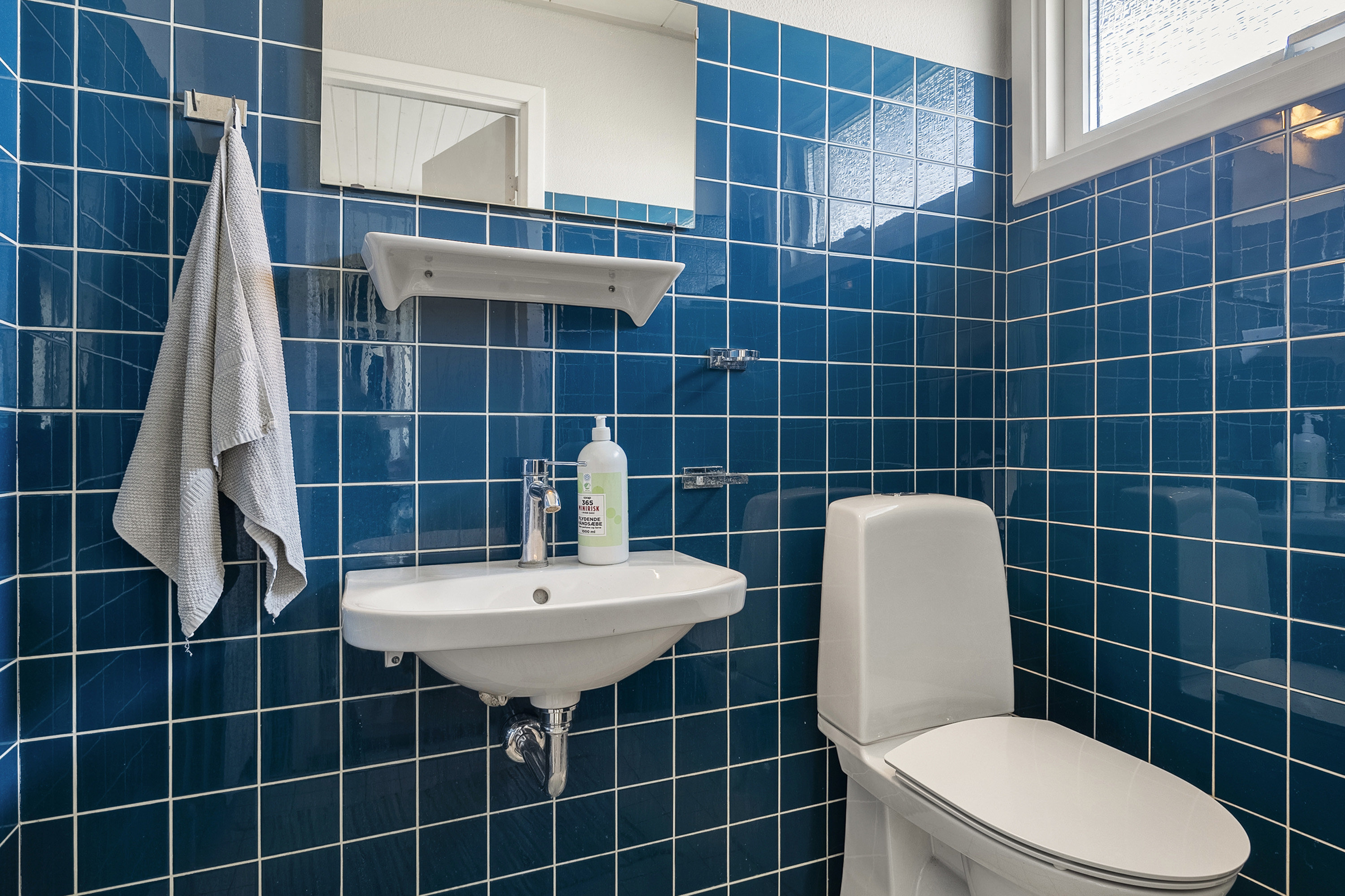 Fremhævet toilet billede i fuldskærmstilstand. Billede af Dagnæs Boulevard 68, 8700 Horsens