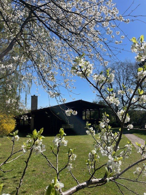 Fremhævet  billede i fuldskærmstilstand. Billede af Sauntevej 142A, 3100 Hornbæk