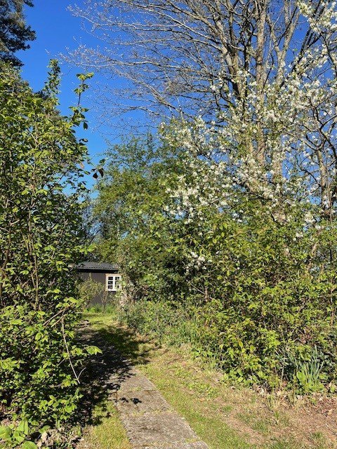 Fremhævet  billede i fuldskærmstilstand. Billede af Sauntevej 142A, 3100 Hornbæk