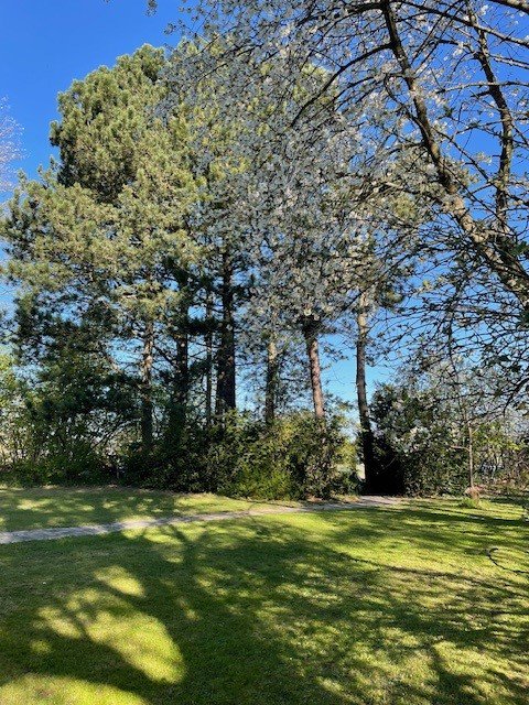 Fremhævet  billede i fuldskærmstilstand. Billede af Sauntevej 142A, 3100 Hornbæk