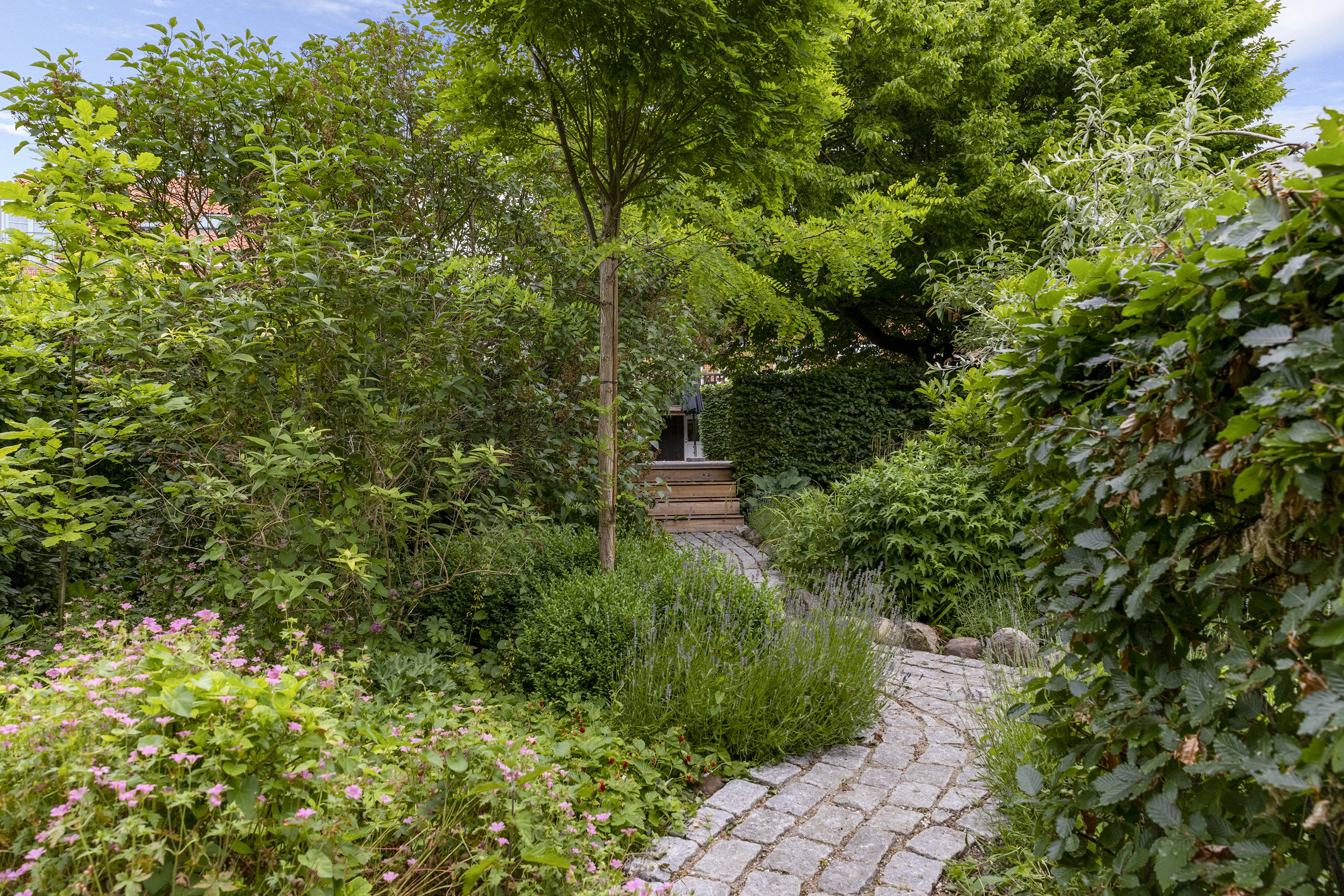 Fremhævet ejendommen billede i fuldskærmstilstand. Billede af Borgediget 33, 4000 Roskilde