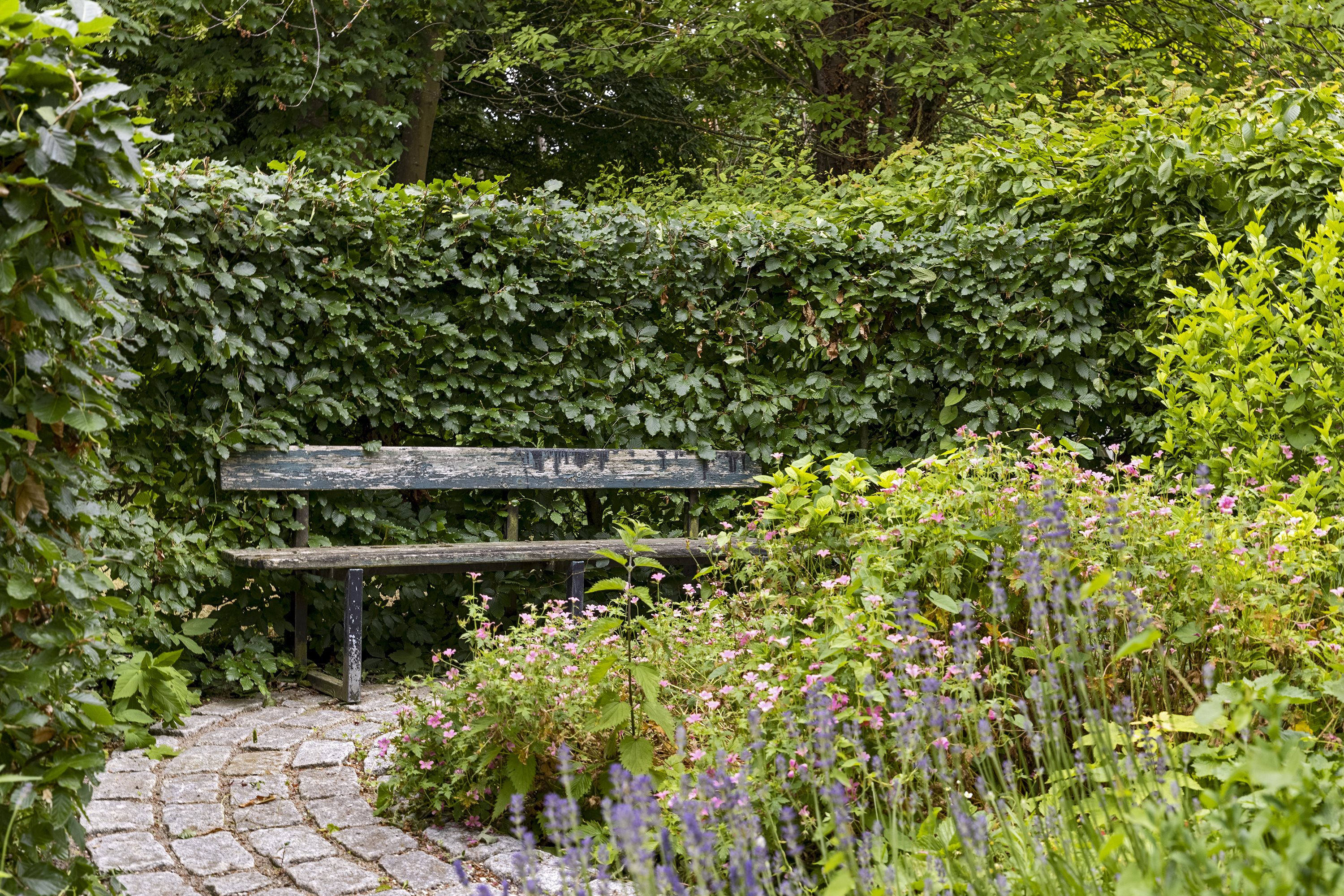 Fremhævet ejendommen billede i fuldskærmstilstand. Billede af Borgediget 33, 4000 Roskilde