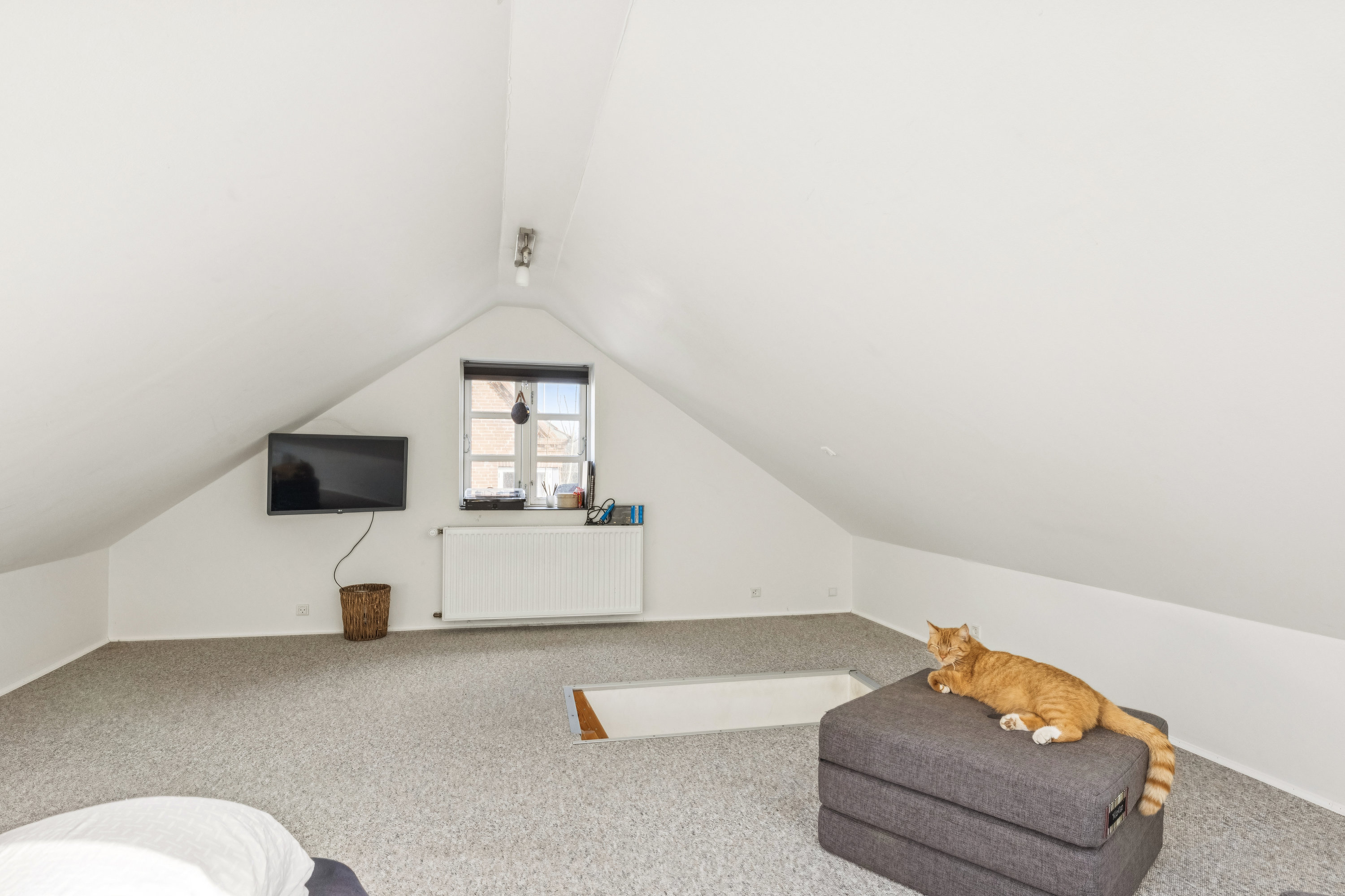 Fremhævet hems billede i fuldskærmstilstand. Billede af Bøggildsvej 5, Todbjerg, 8530 Hjortshøj