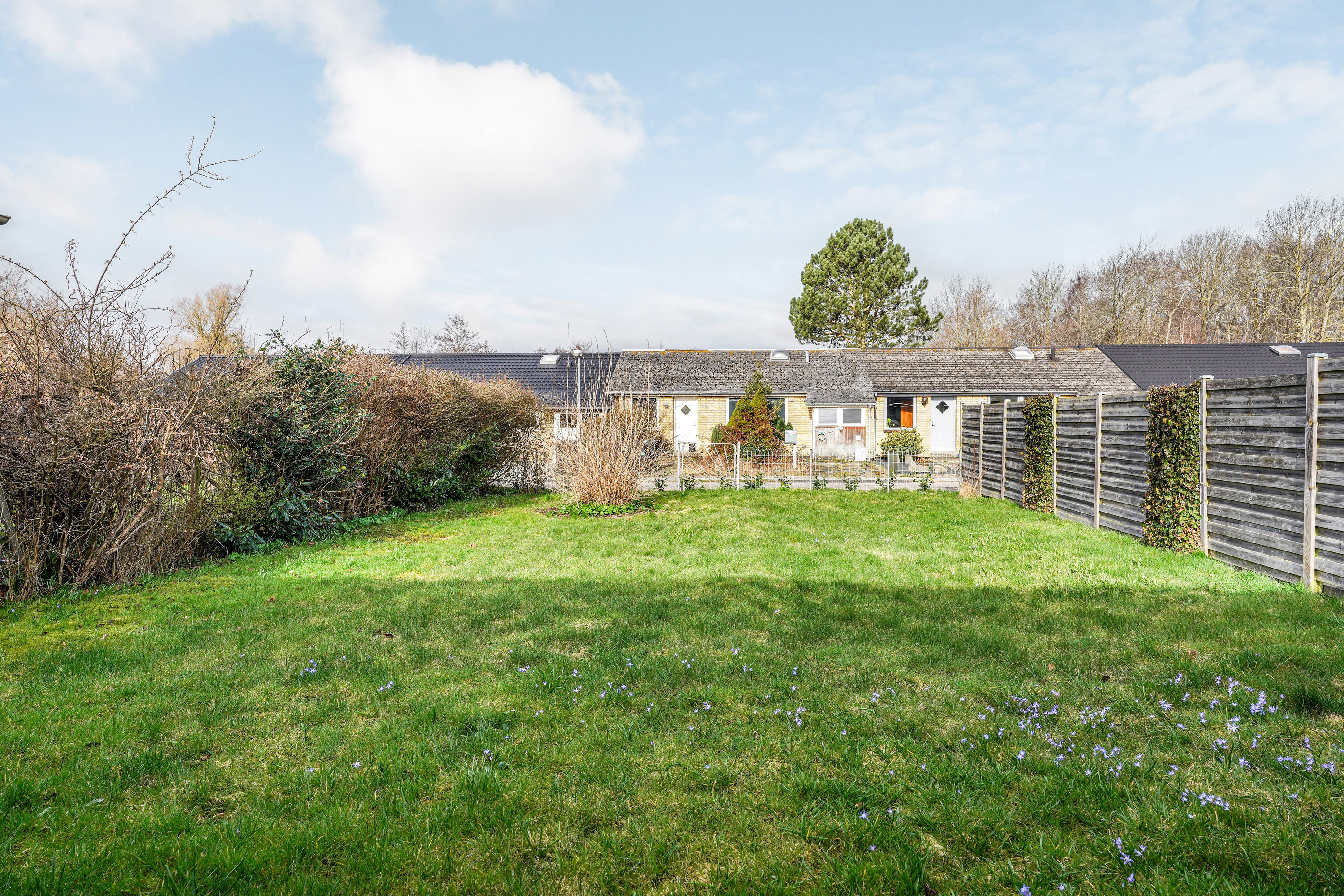 Fremhævet have billede i fuldskærmstilstand. Billede af Skrænten 29, Næsby, 5270 Odense N