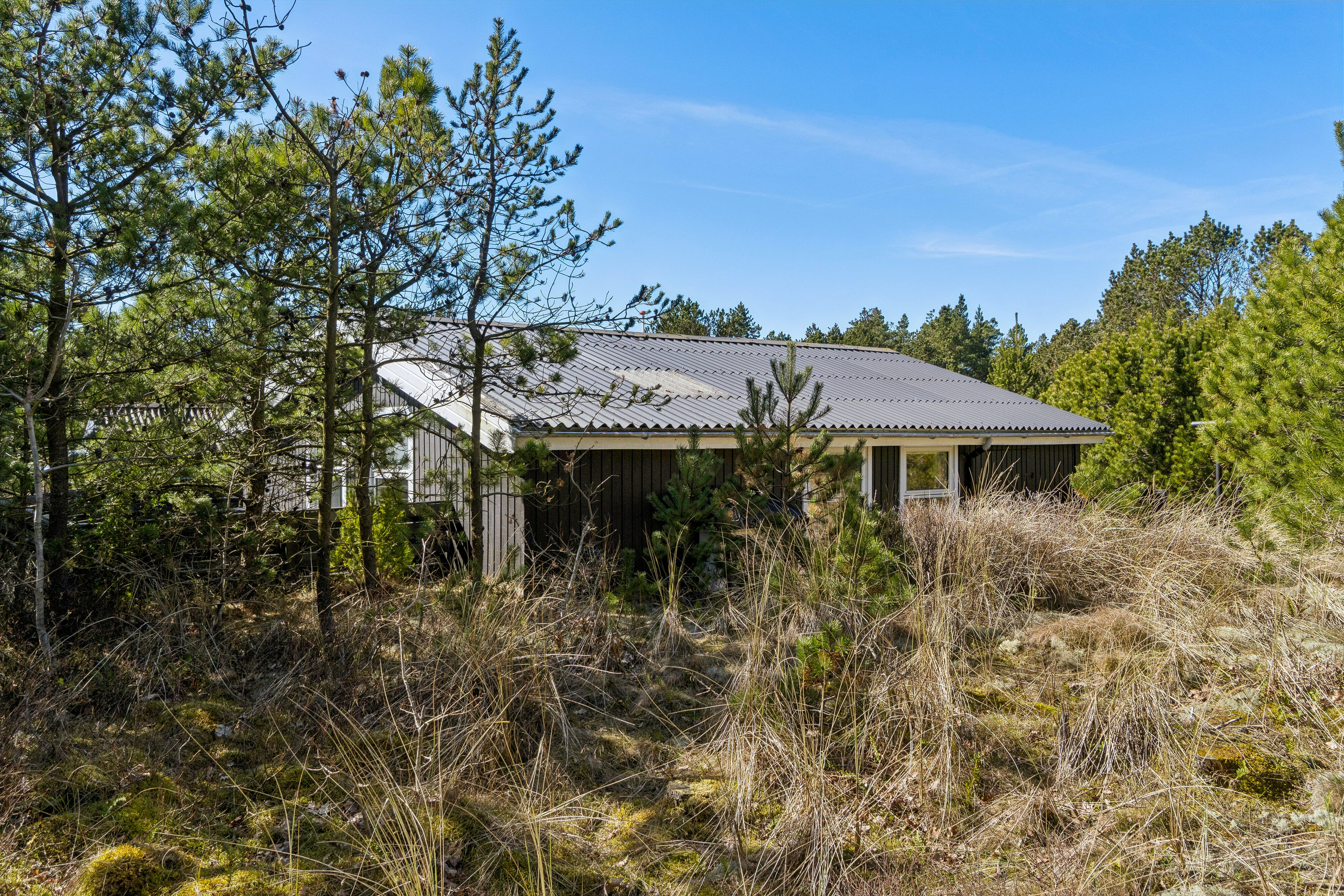 Fremhævet set fra haven billede i fuldskærmstilstand. Billede af Klitrosevej 66, Vorupør, 7700 Thisted