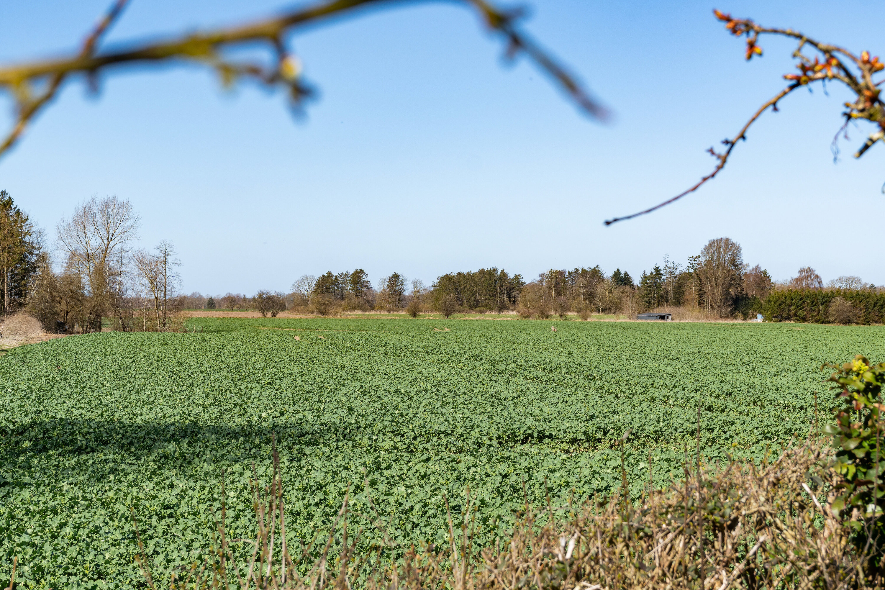 Odensevej 65, Herrested, 5853 Ørbæk