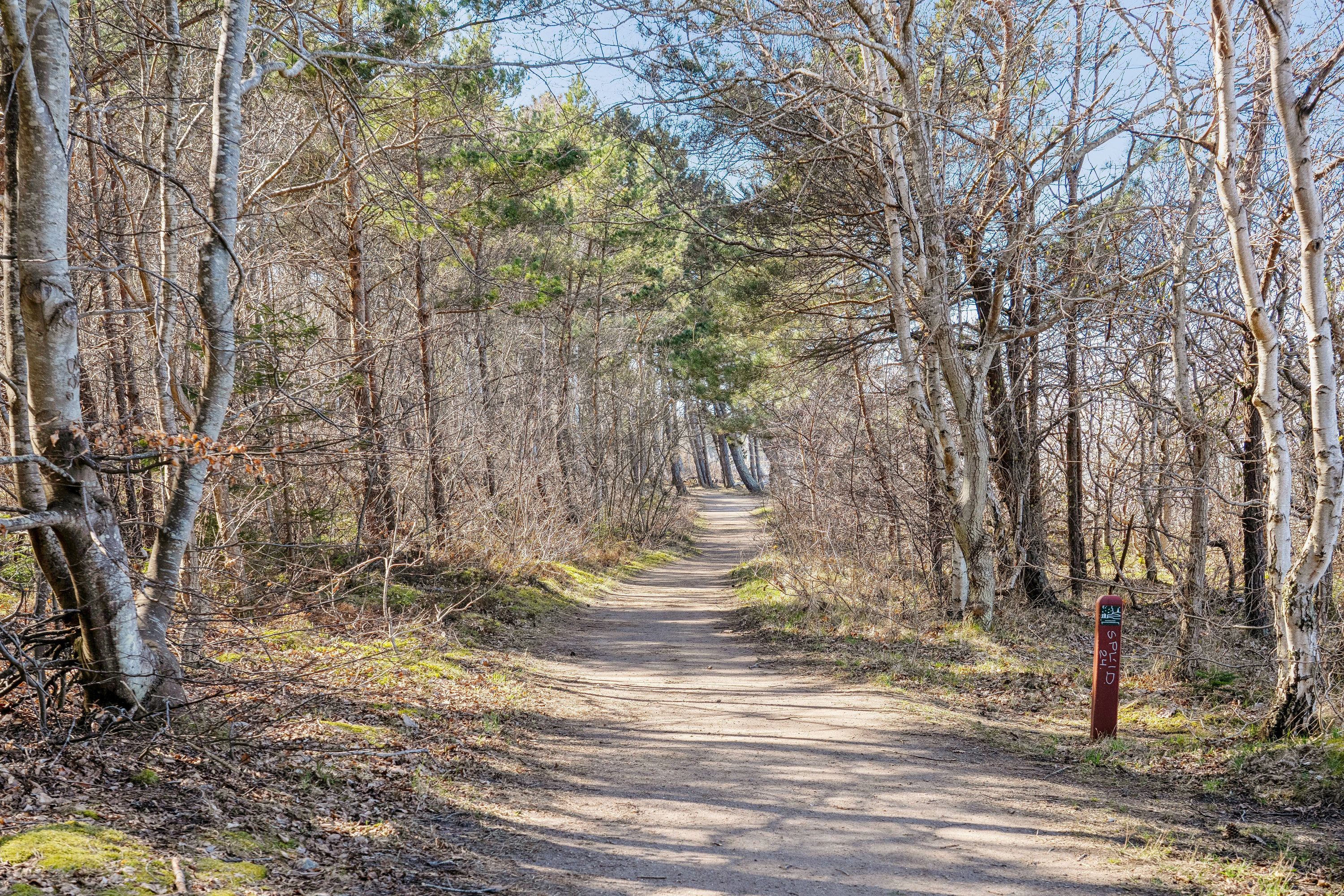 Fremhævet område billede i fuldskærmstilstand. Billede af Saunte Bygade 32, 3100 Hornbæk