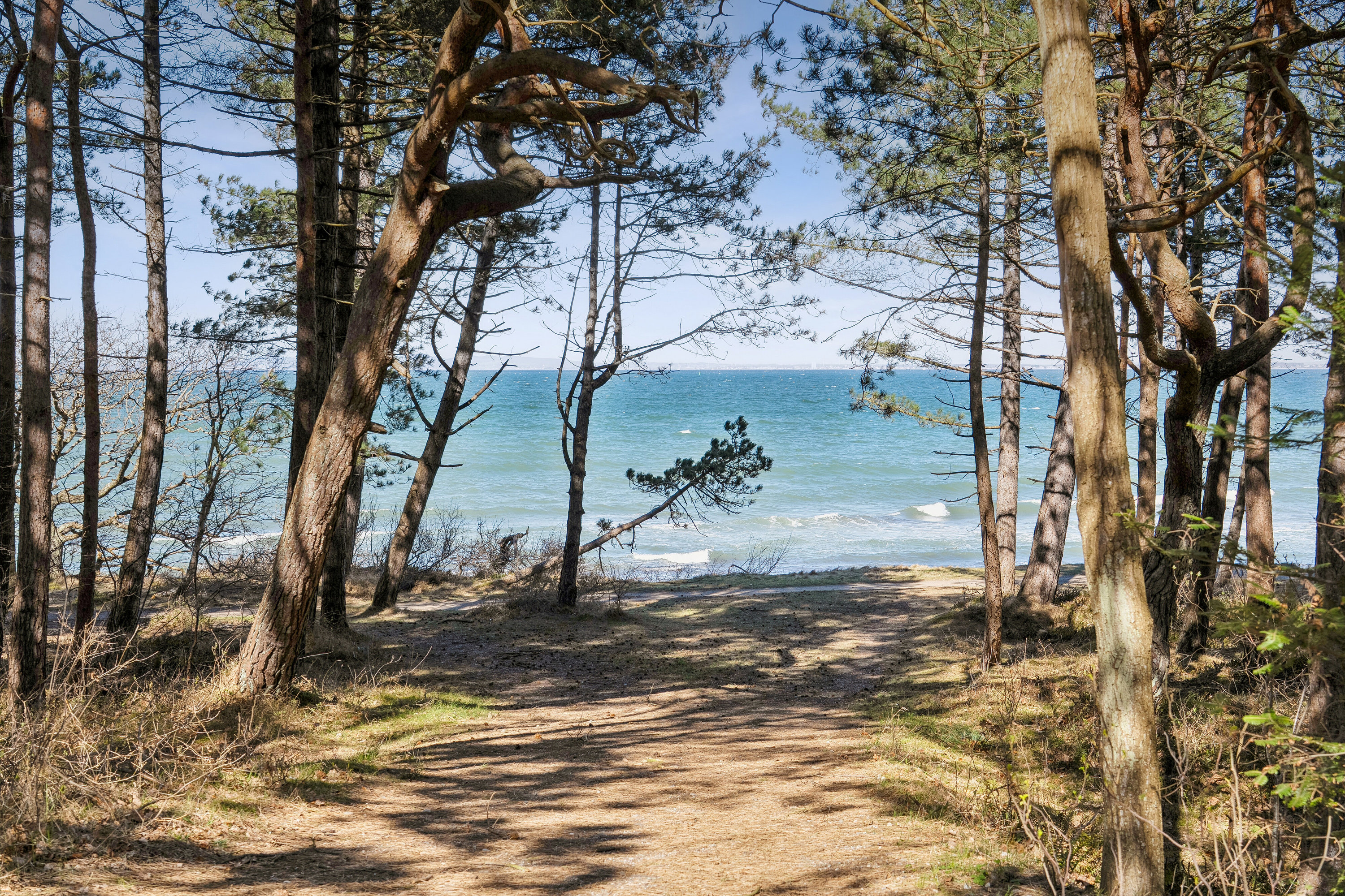 Fremhævet område  billede i fuldskærmstilstand. Billede af Saunte Bygade 32, 3100 Hornbæk