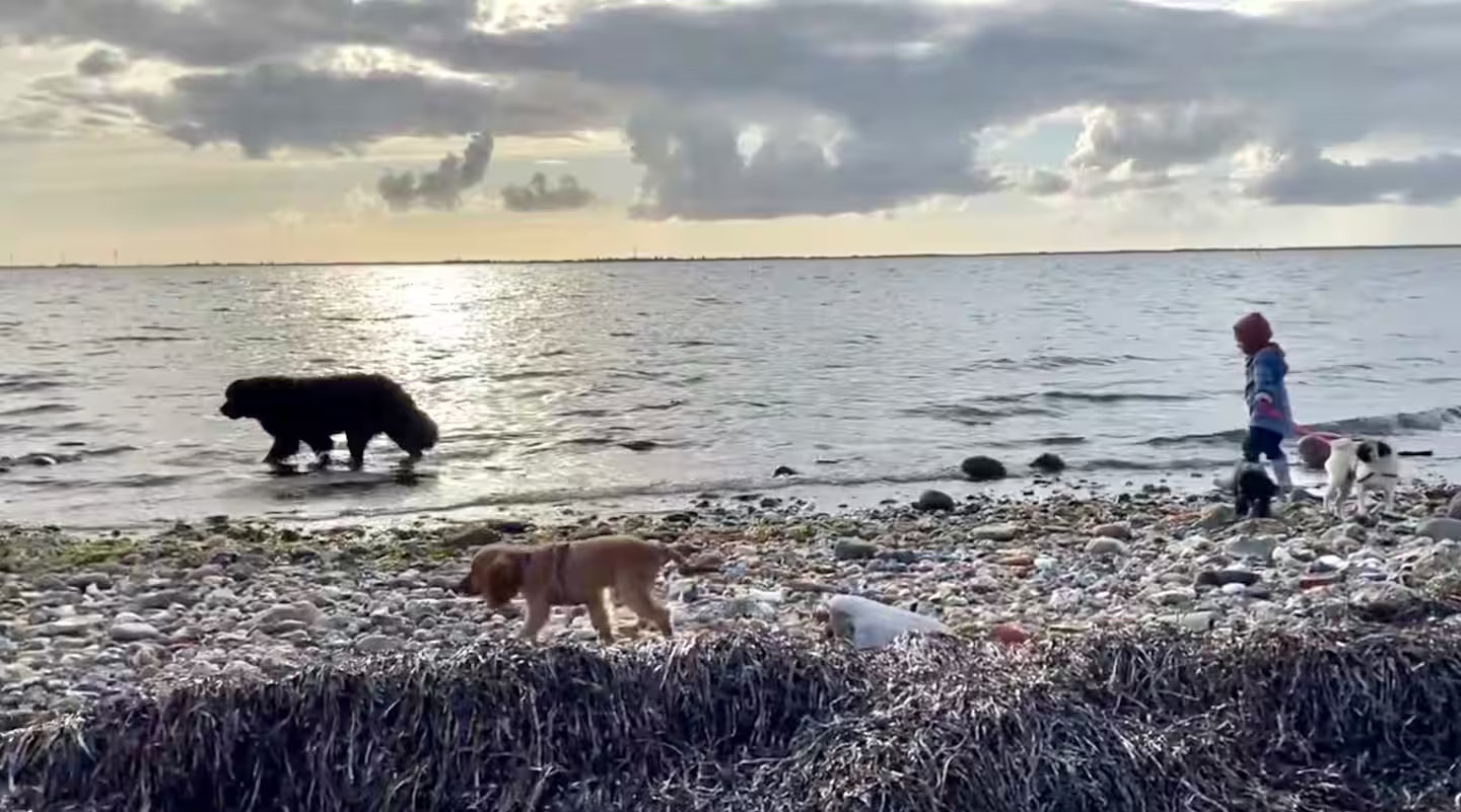 Fremhævet  billede i fuldskærmstilstand. Billede af Kobberøgårdvej 3, 7760 Hurup Thy