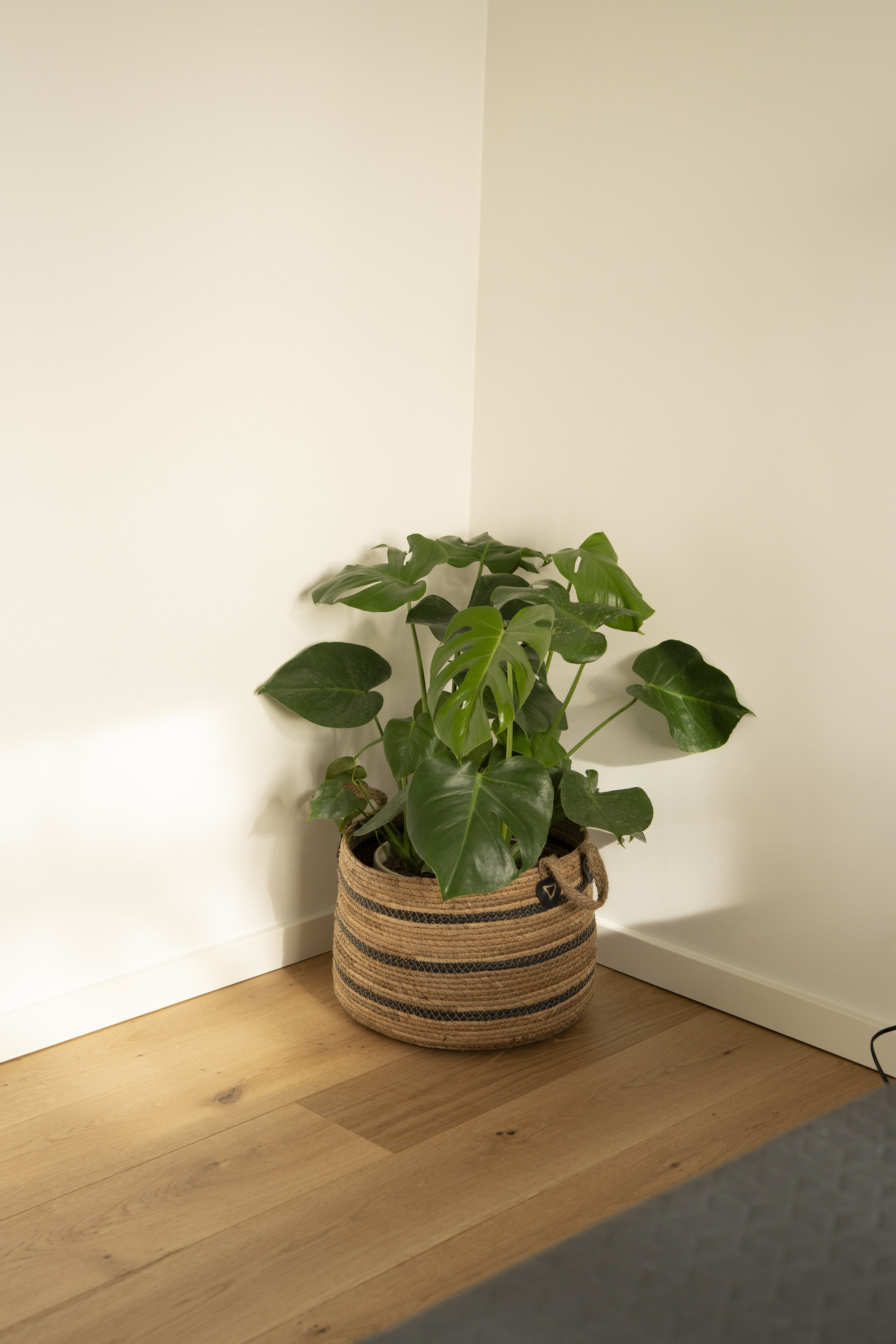 Fremhævet soveværelse billede i fuldskærmstilstand. Billede af Højagerparken 12, st.. tv., 2750 Ballerup