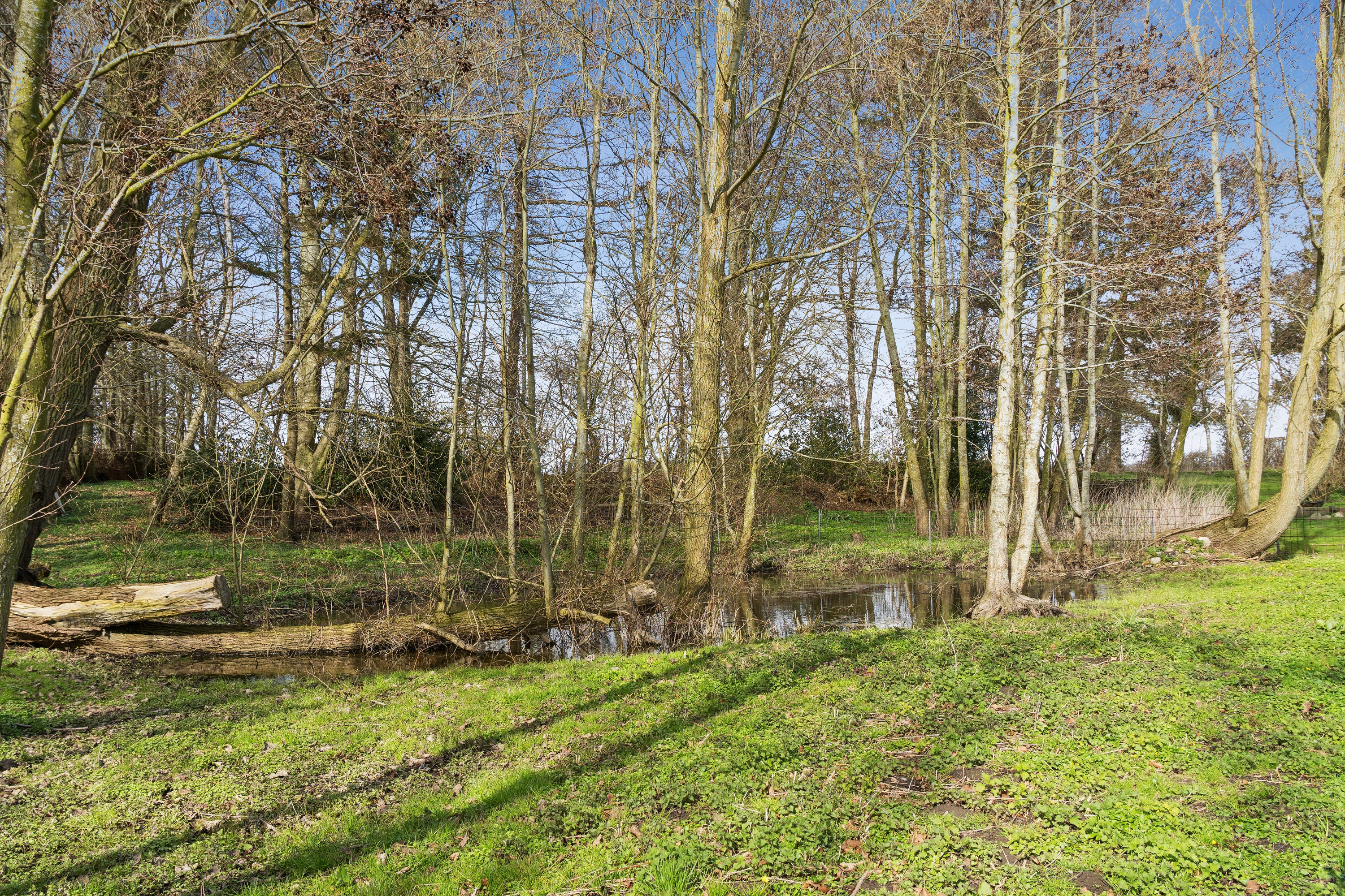 Fremhævet set fra haven billede i fuldskærmstilstand. Billede af Lundbyvej 67, Tåsinge, 5700 Svendborg