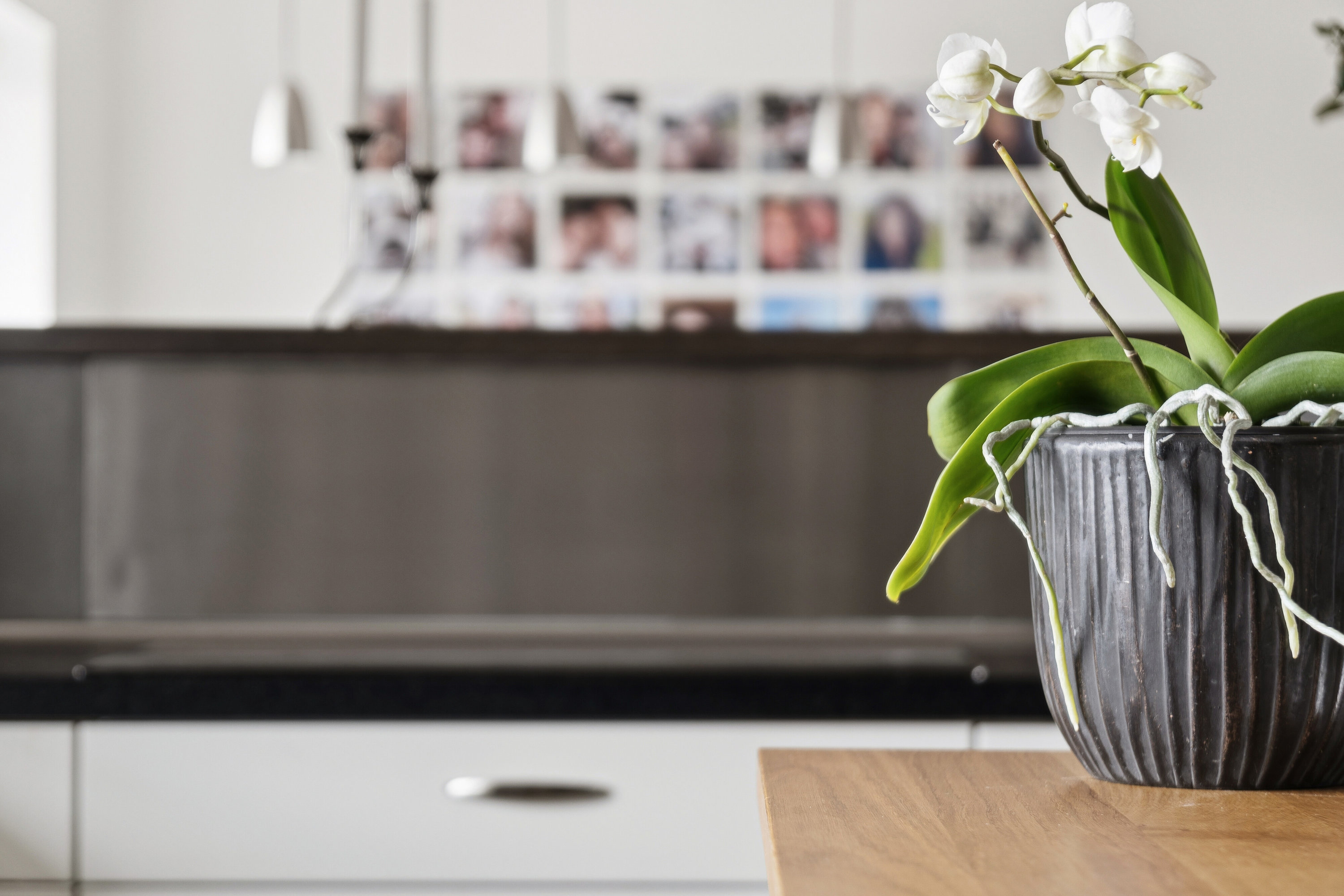 Fremhævet køkken billede i fuldskærmstilstand. Billede af Søren Andreasensvej 21, 4540 Fårevejle