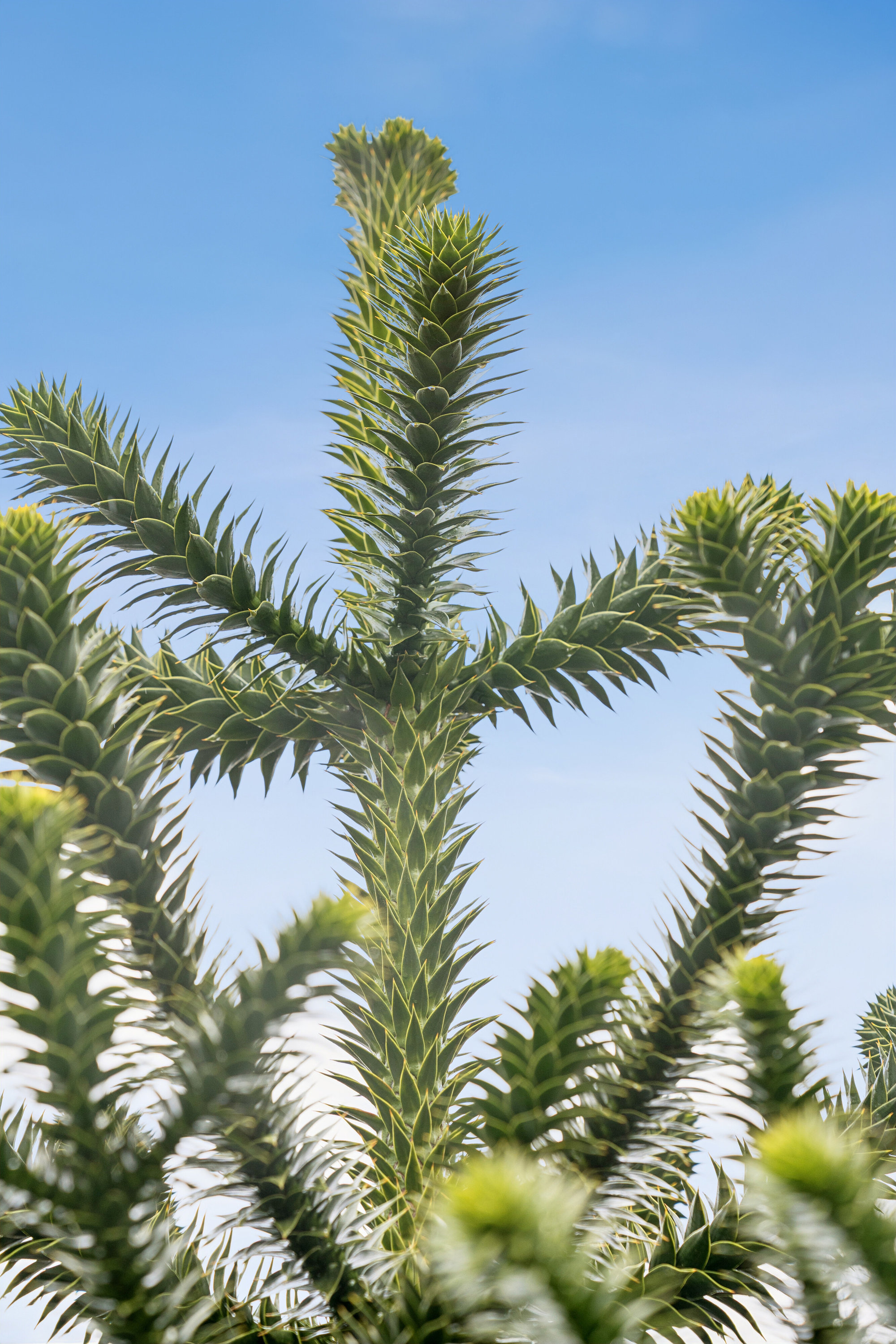 Fremhævet indendørs billede i fuldskærmstilstand. Billede af Søllingdalvej 16, 7250 Hejnsvig