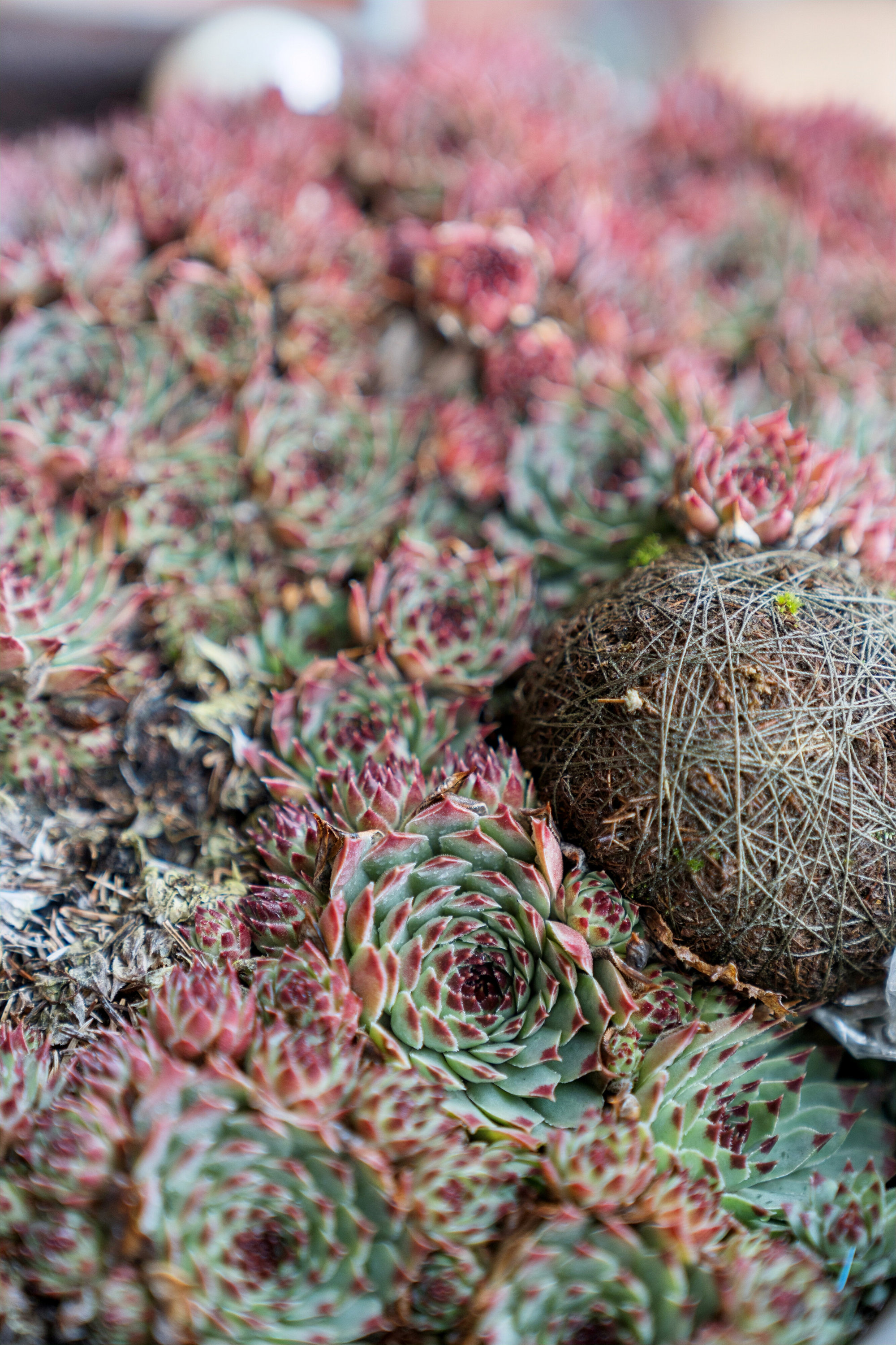 Fremhævet udendørs billede i fuldskærmstilstand. Billede af Søllingdalvej 16, 7250 Hejnsvig