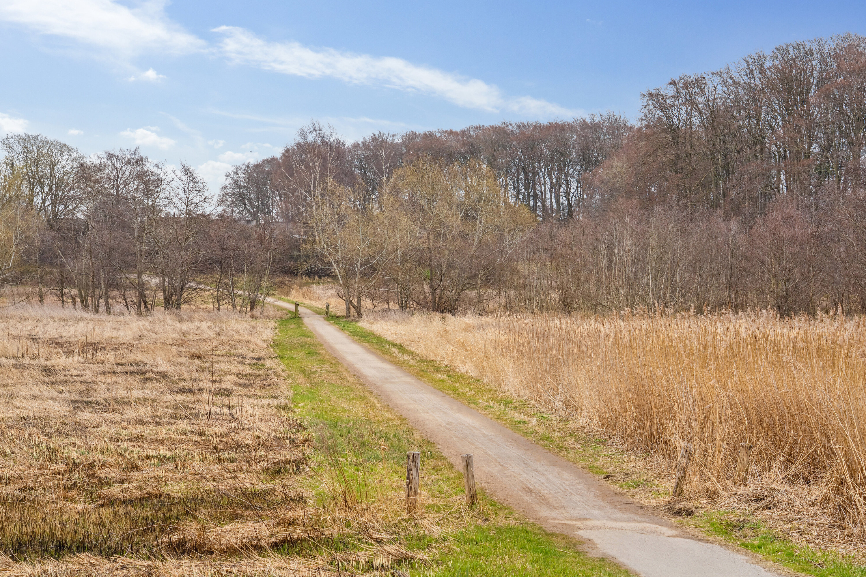 Fremhævet udsigt billede i fuldskærmstilstand. Billede af Spurvevej 20, 3100 Hornbæk