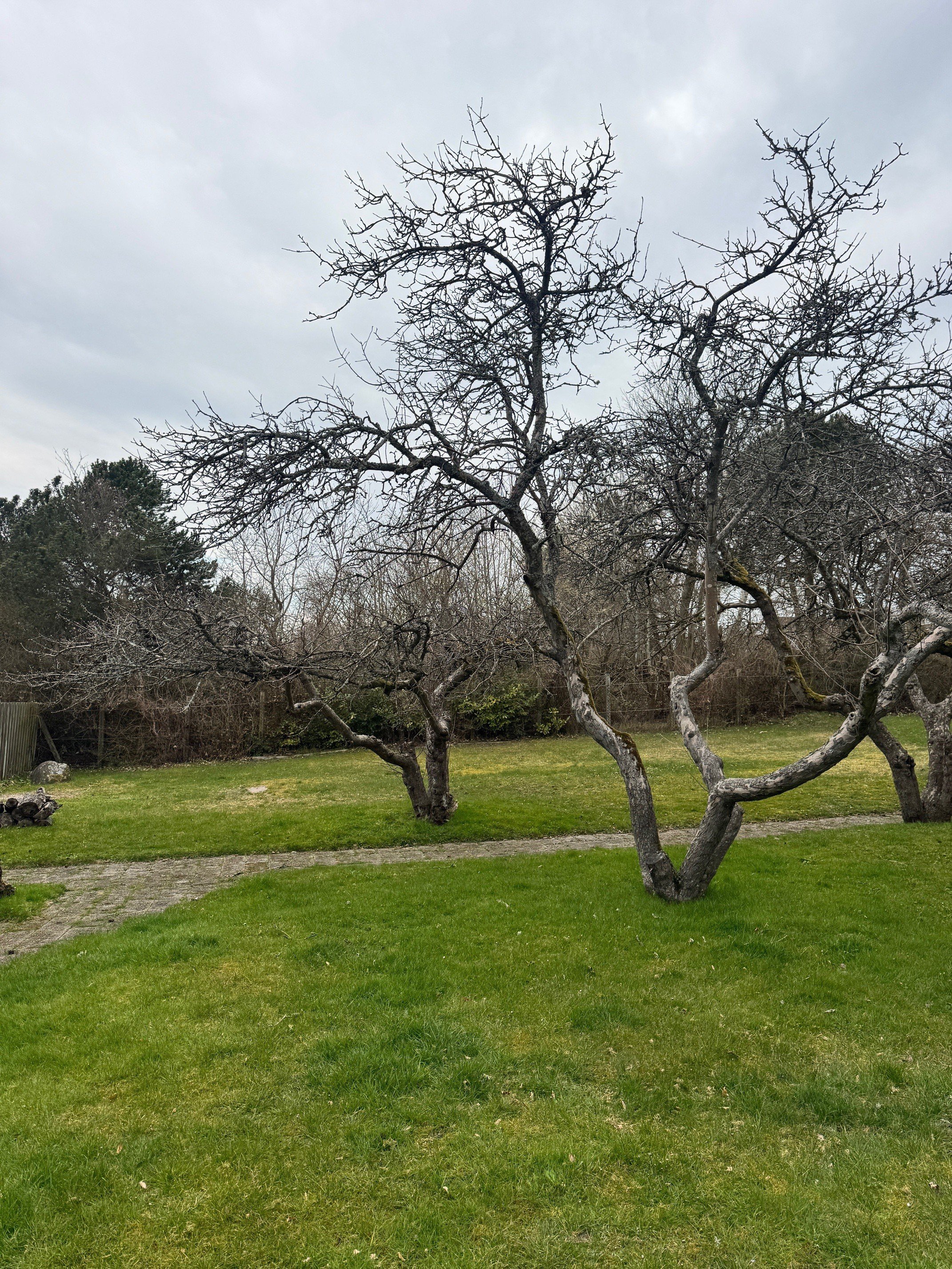 Fremhævet  billede i fuldskærmstilstand. Billede af Sejerøvej 1, 3140 Ålsgårde