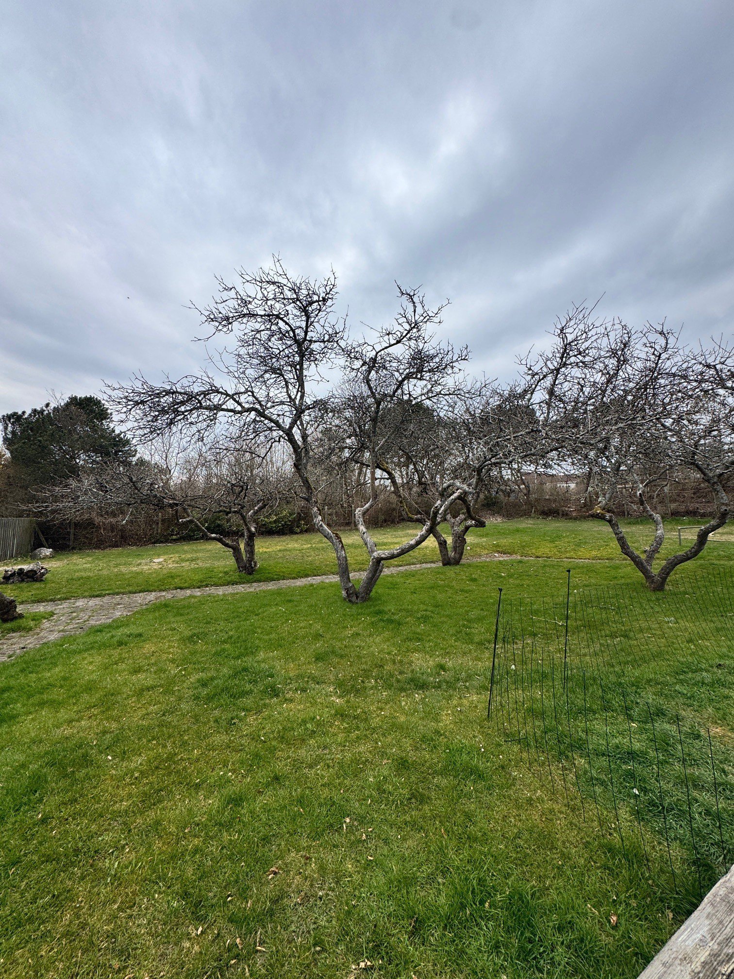 Sejerøvej 1, 3140 Ålsgårde