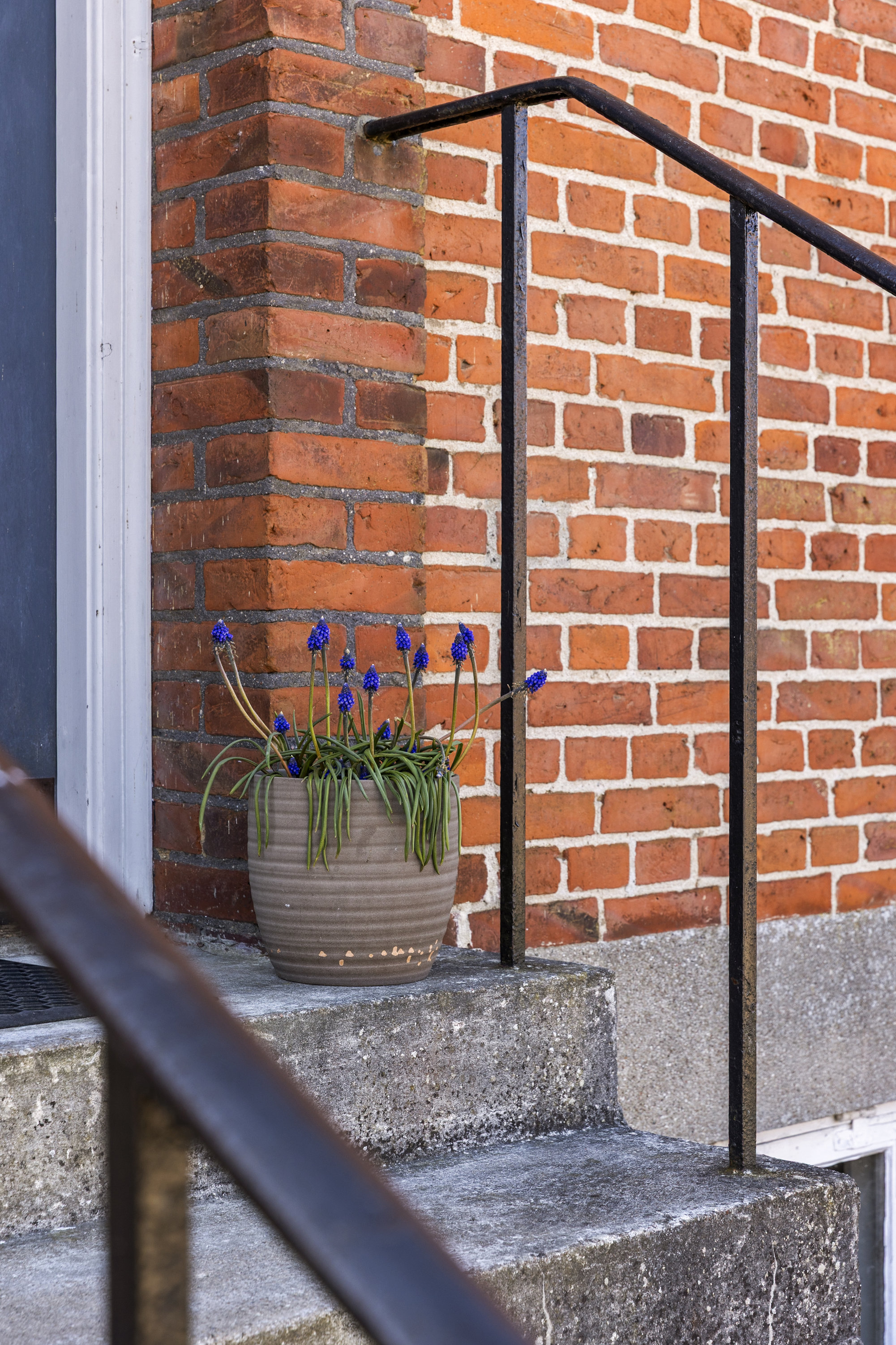 Fremhævet ejendommen billede i fuldskærmstilstand. Billede af Hauchsvej 15, 4180 Sorø