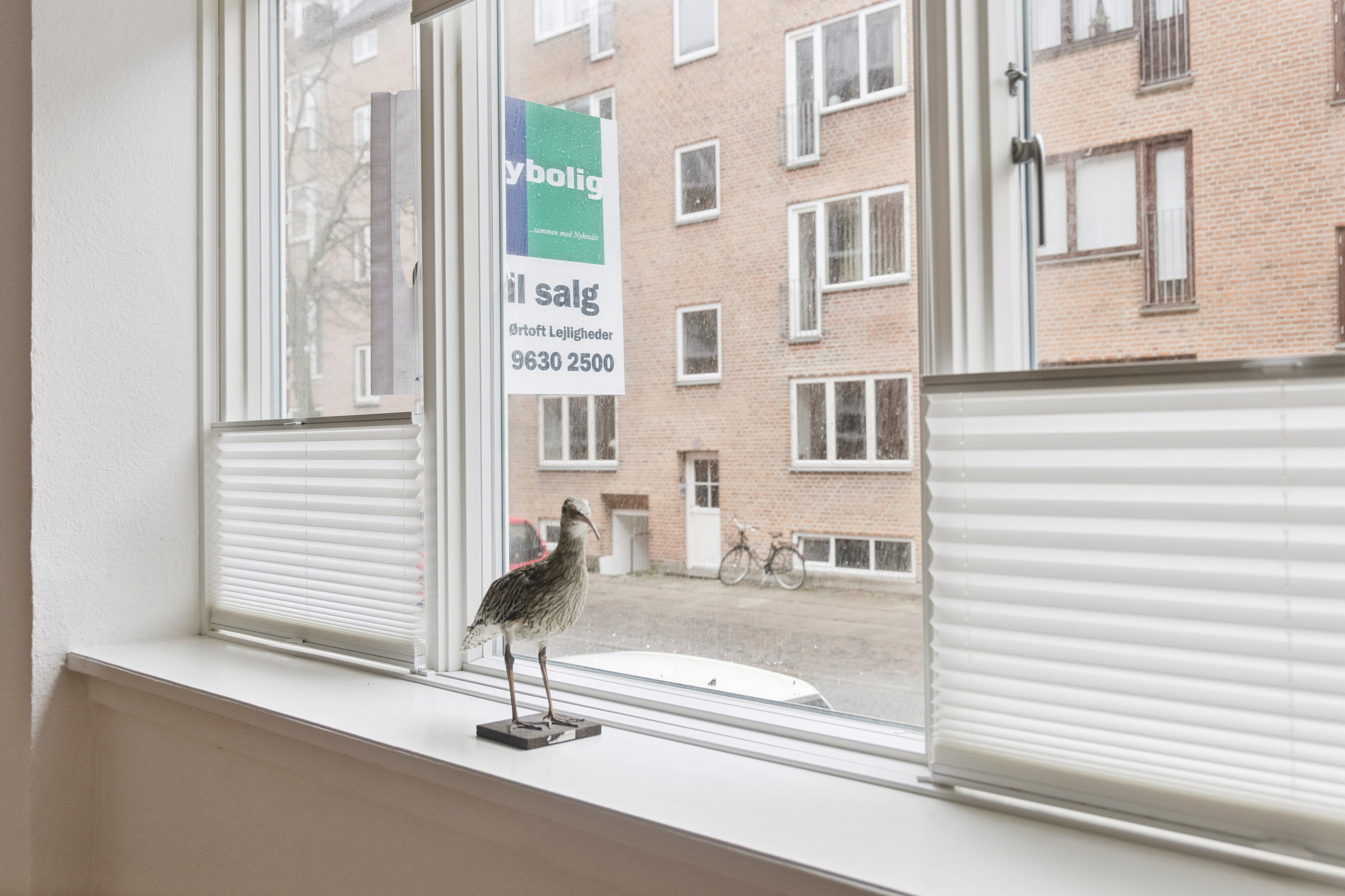 Fremhævet værelse billede i fuldskærmstilstand. Billede af Dybbølgade 5, st.. tv., 9000 Aalborg