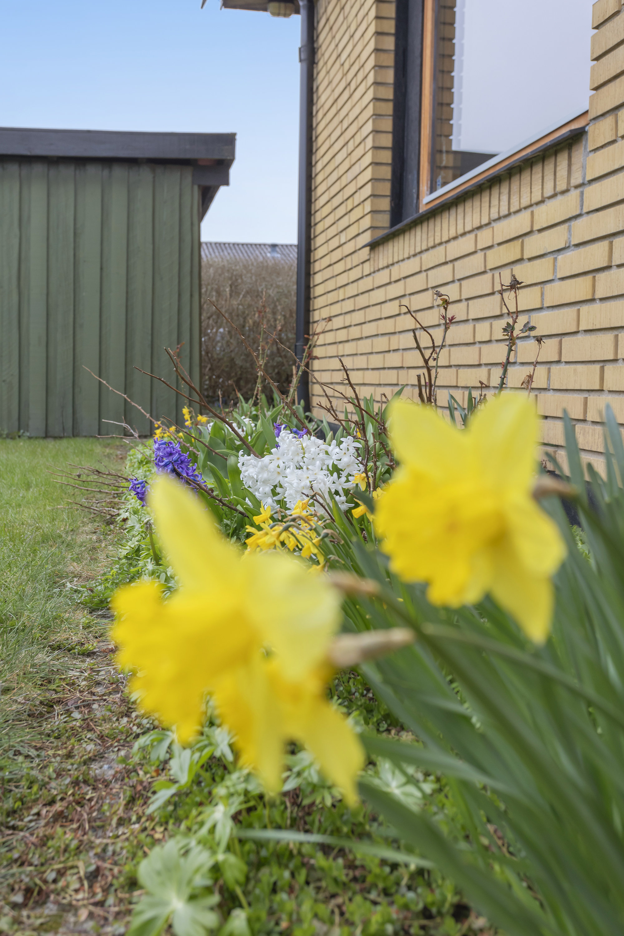 Fremhævet have billede i fuldskærmstilstand. Billede af Lindeengen 97, 2740 Skovlunde