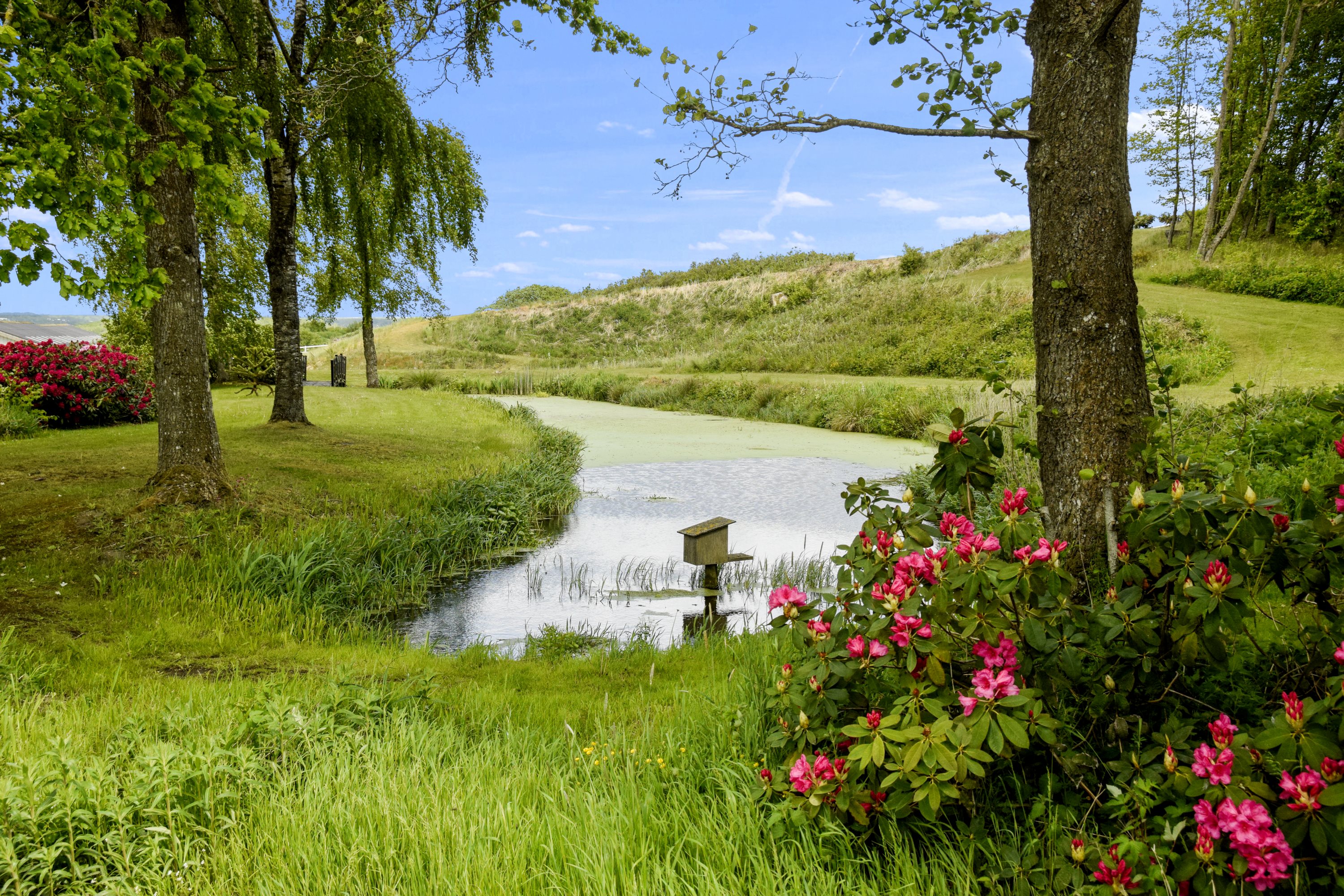 Fremhævet have billede i fuldskærmstilstand. Billede af Hylke Møllevej 4, 8660 Skanderborg