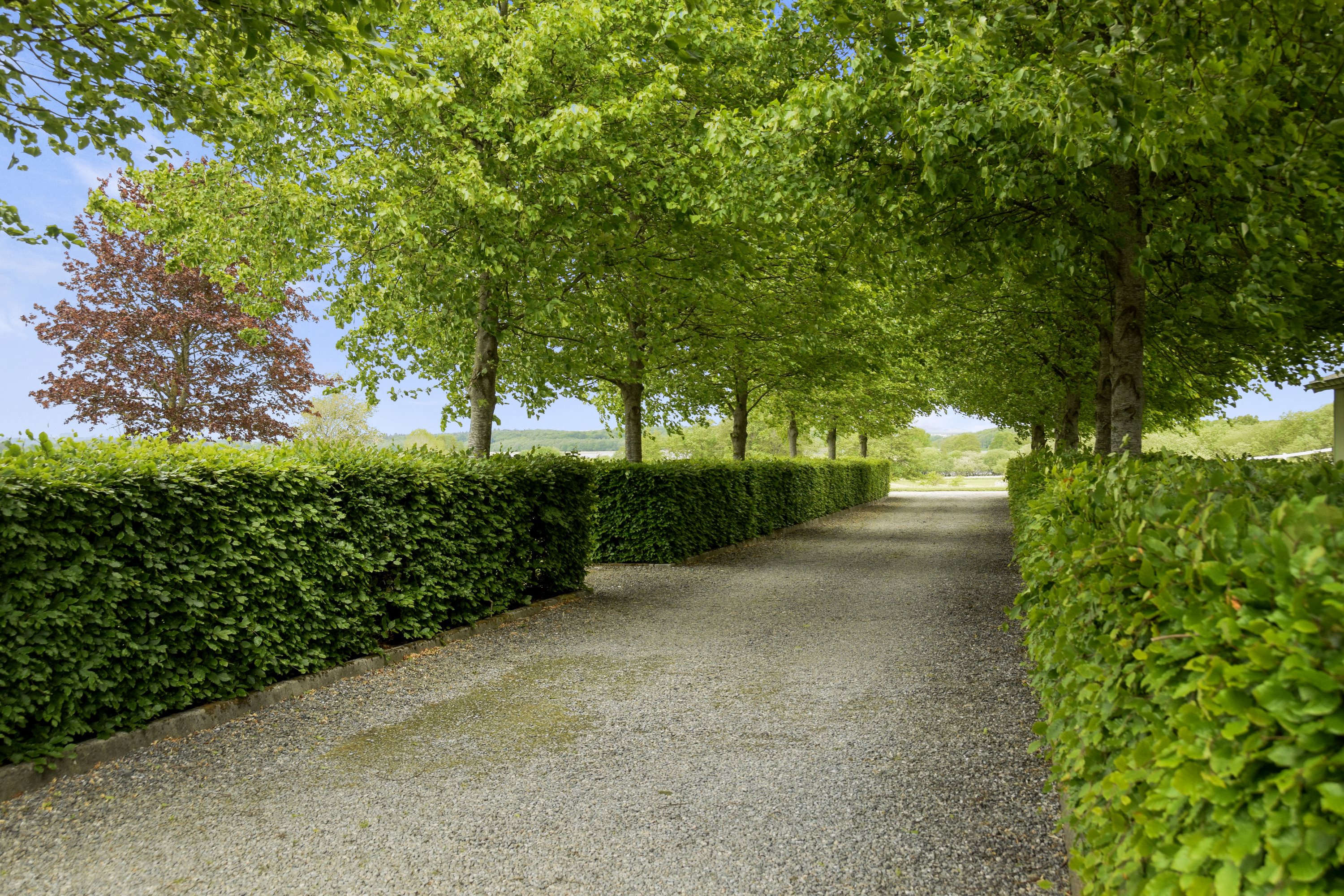 Fremhævet indkørsel billede i fuldskærmstilstand. Billede af Hylke Møllevej 4, 8660 Skanderborg