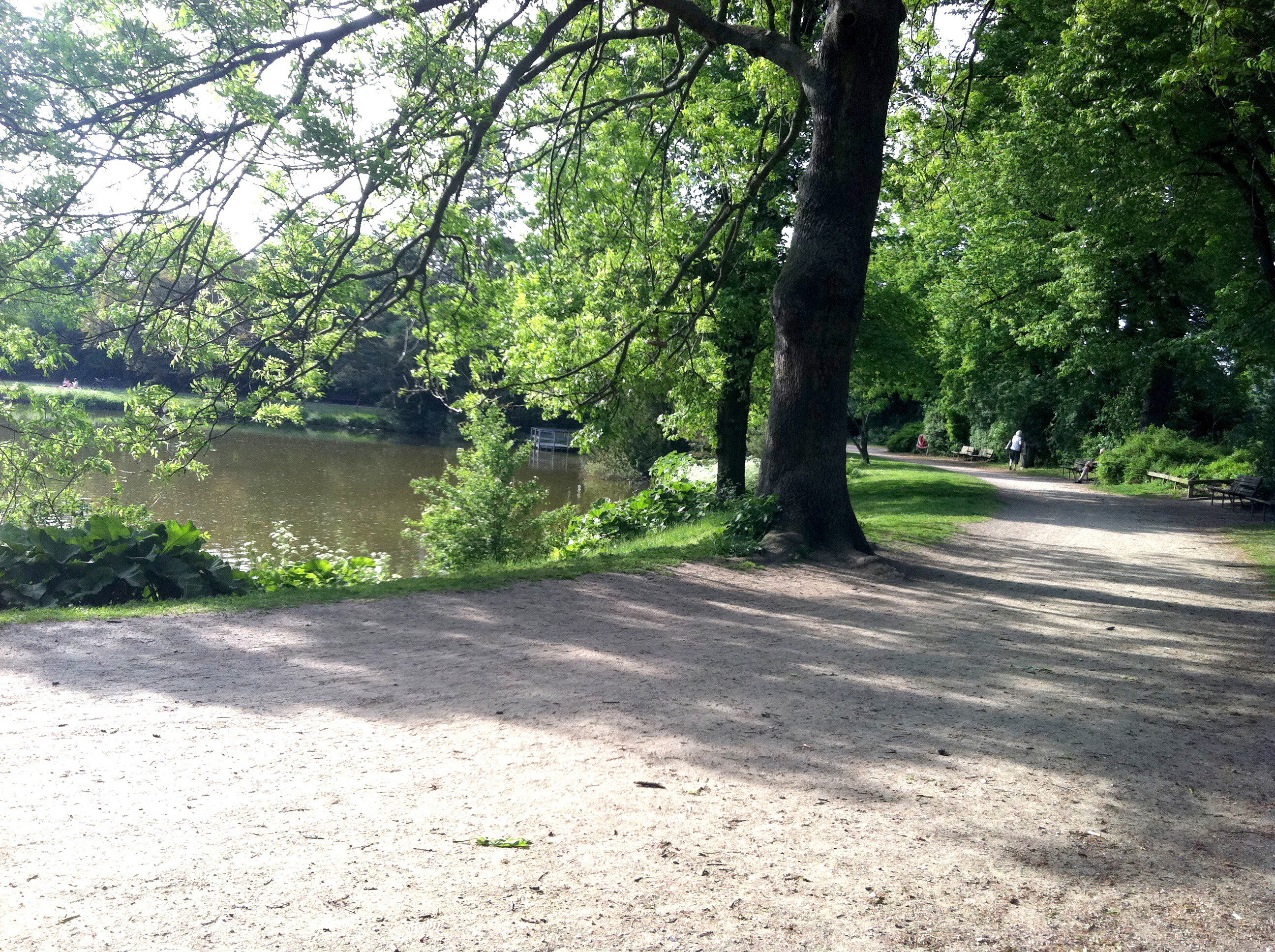 Fremhævet  billede i fuldskærmstilstand. Billede af Otto Mallings Gade 4, 2. th., 2100 København Ø