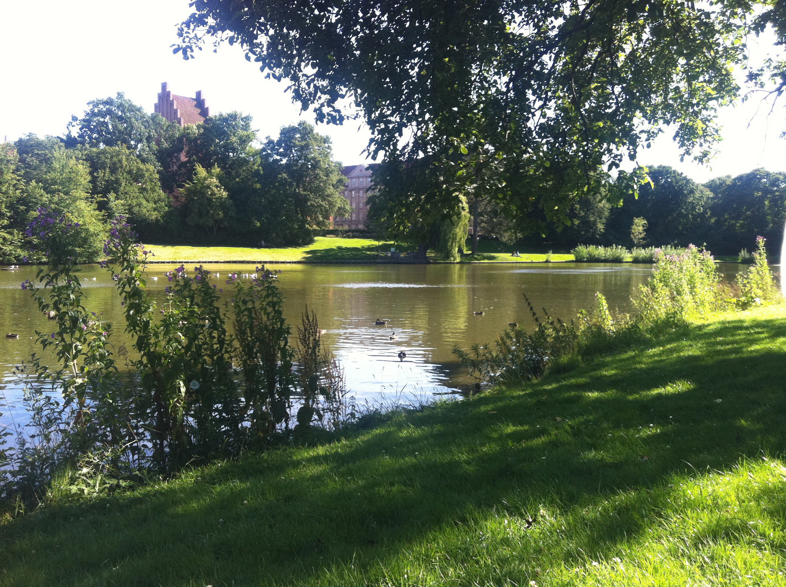 Fremhævet  billede i fuldskærmstilstand. Billede af Otto Mallings Gade 4, 2. th., 2100 København Ø