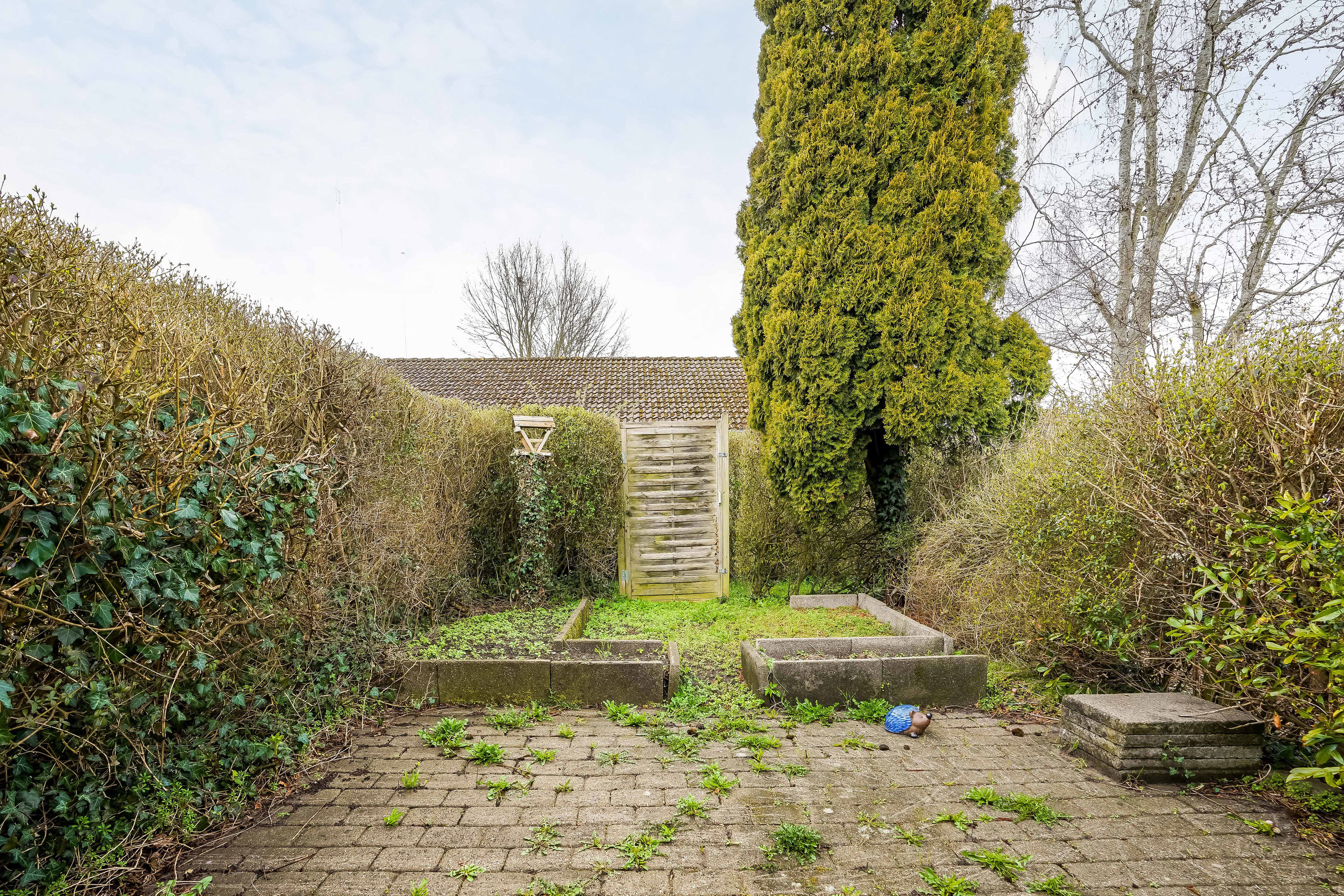 Fremhævet have billede i fuldskærmstilstand. Billede af Frederiksgade 52, 5500 Middelfart