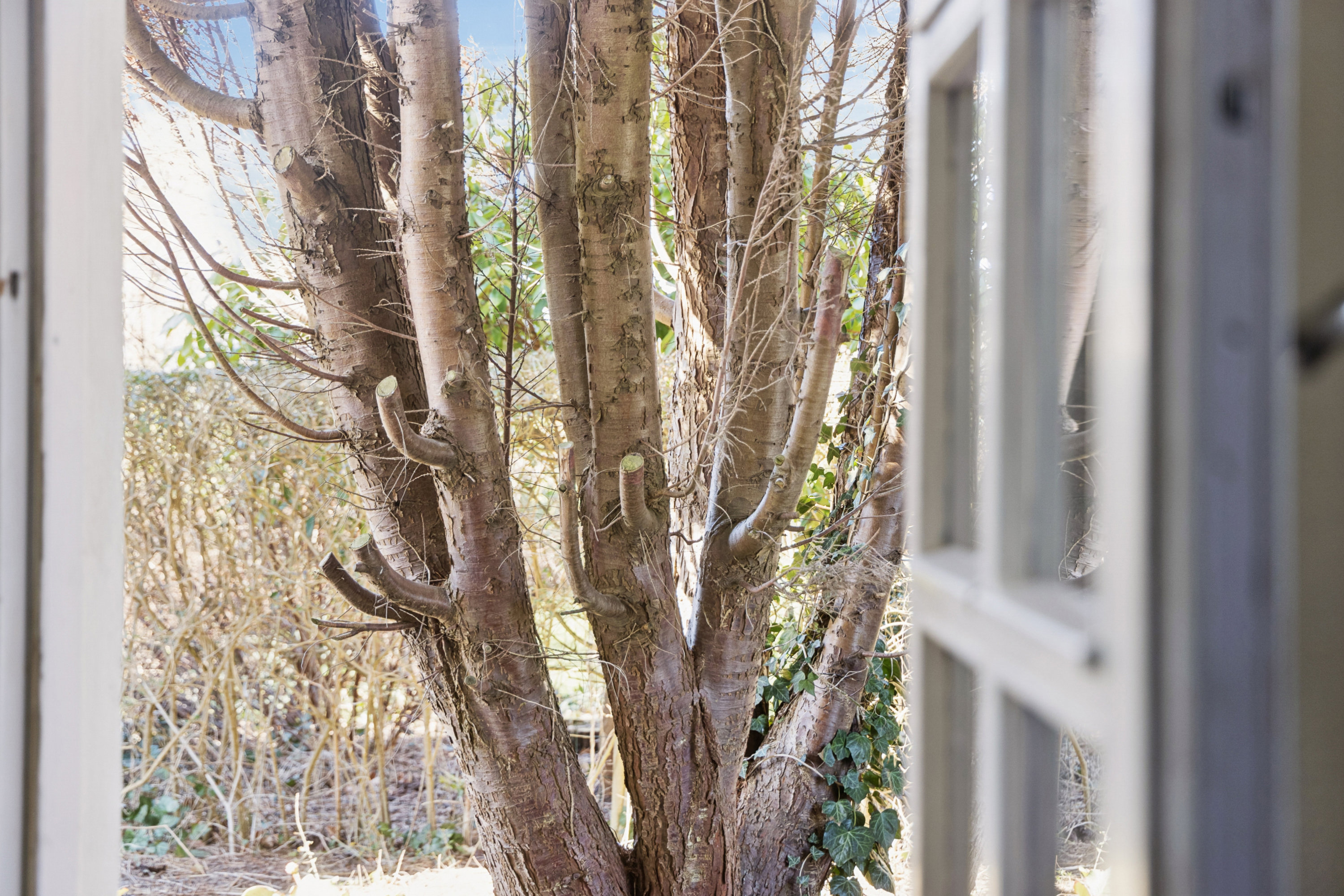 Fremhævet udsigt billede i fuldskærmstilstand. Billede af Lindevej 9, 9370 Hals