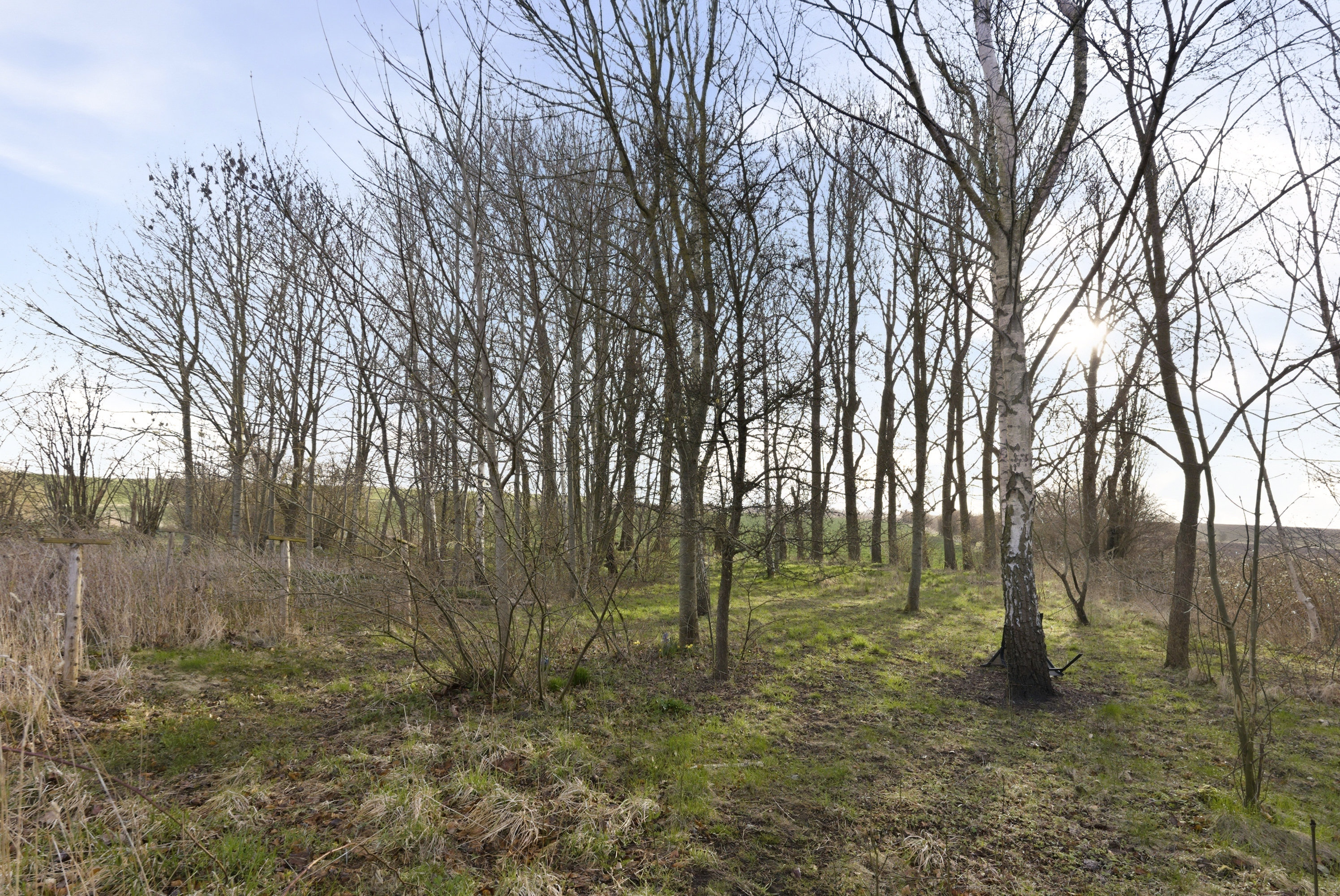 Fremhævet andet billede i fuldskærmstilstand. Billede af Bystævnet 26, Bederslev, 5450 Otterup