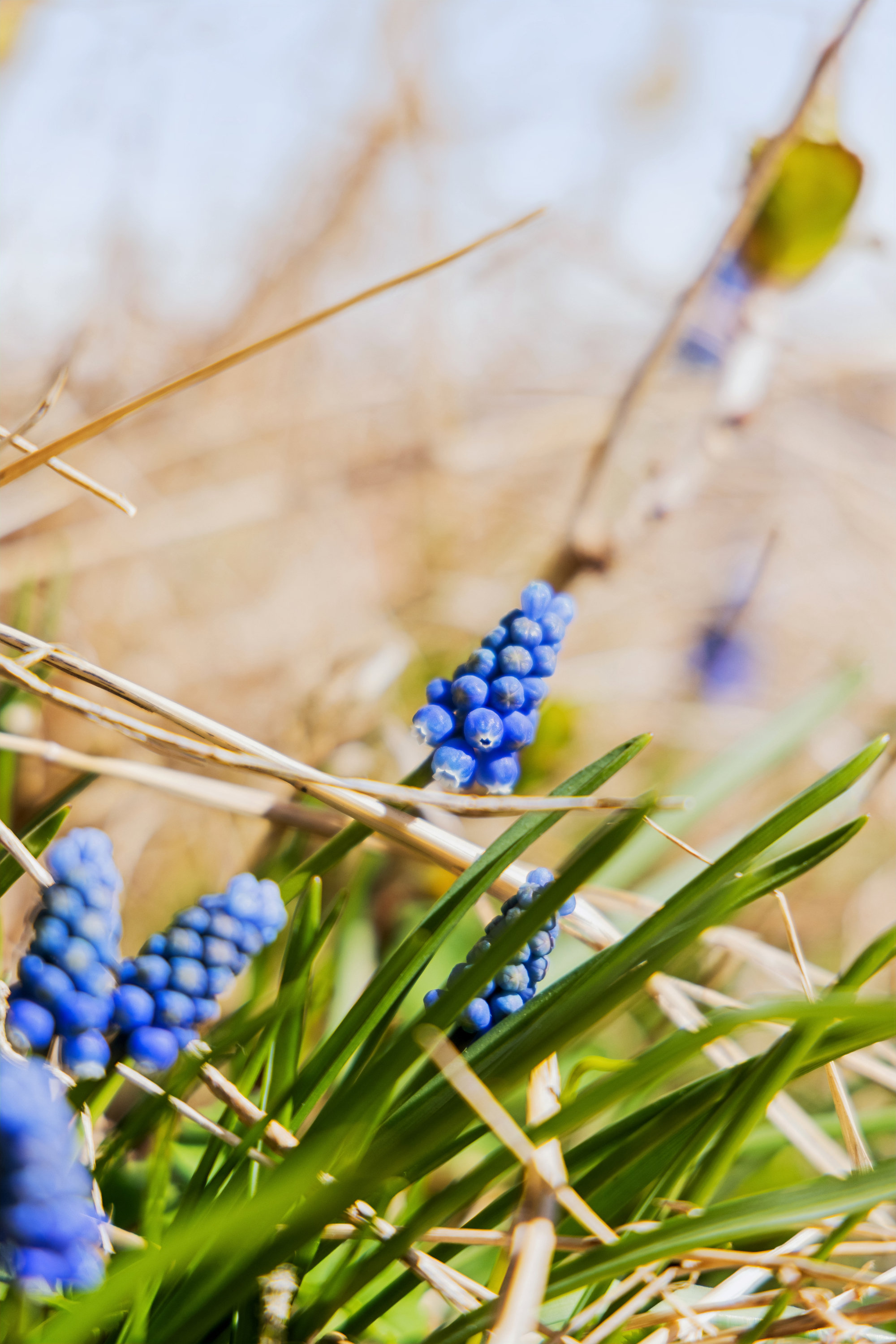 Fremhævet ejendommen billede i fuldskærmstilstand. Billede af Lindevej 9, 9370 Hals