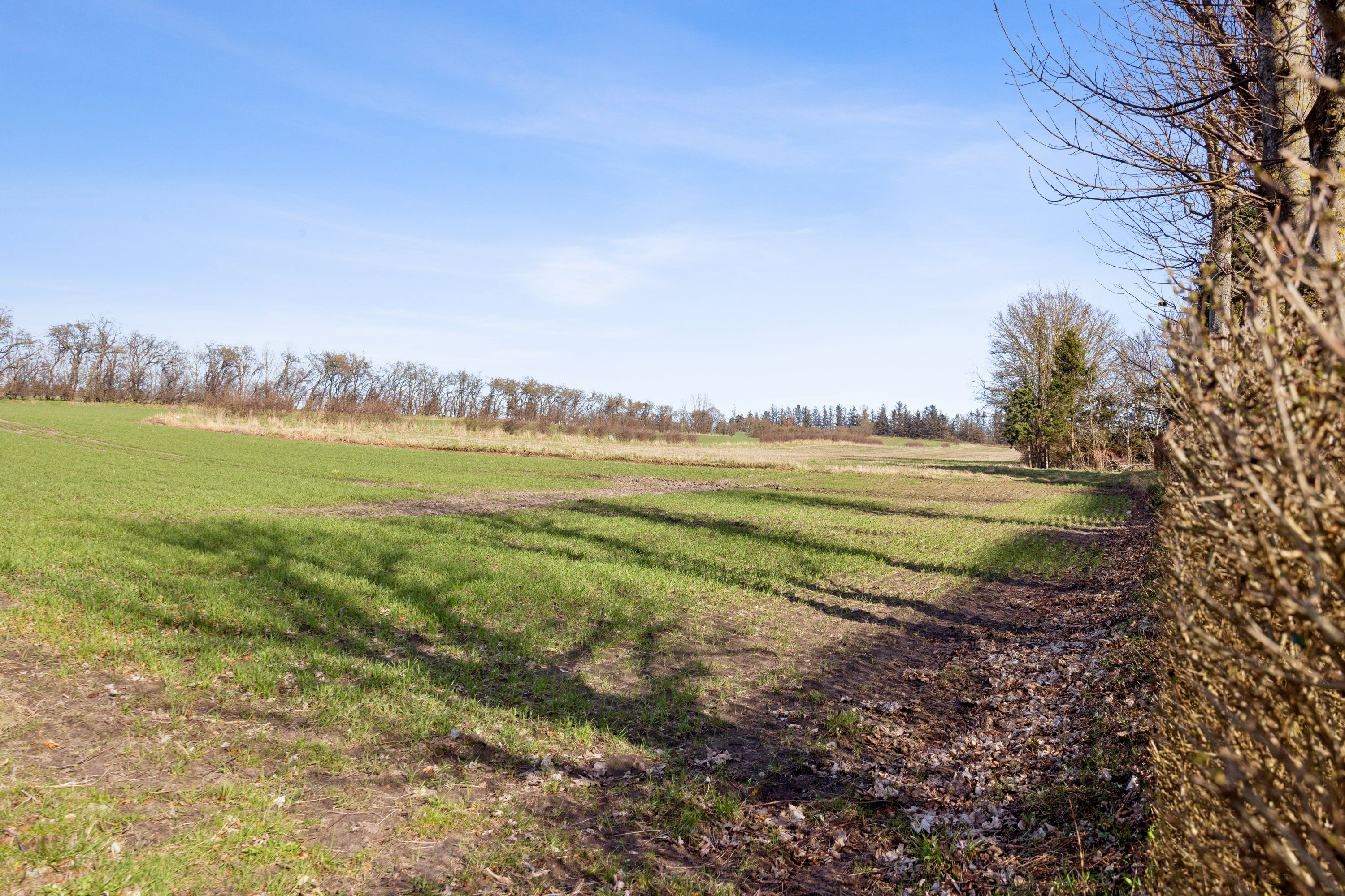 Fremhævet have billede i fuldskærmstilstand. Billede af Smalby 5, Langholt, 9310 Vodskov