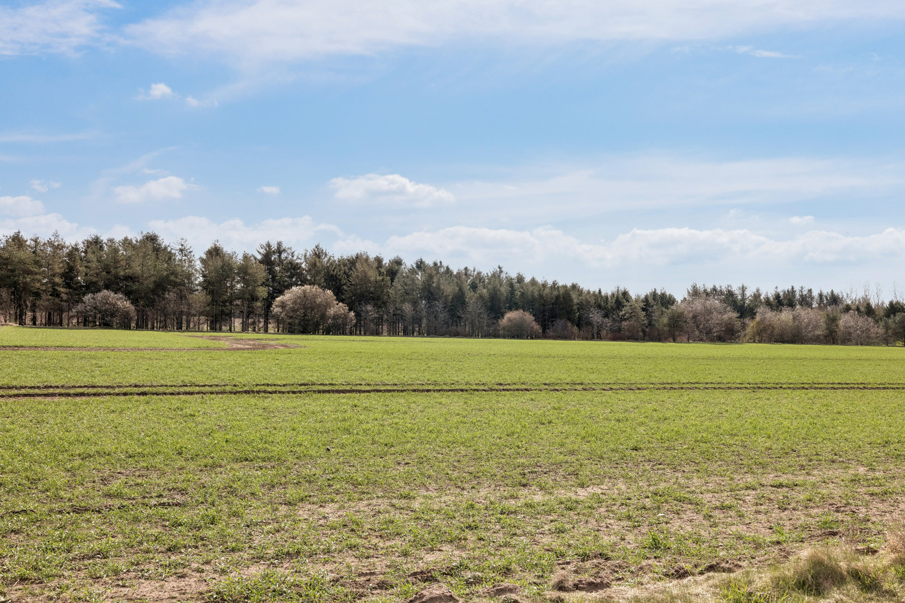 Fremhævet omgivelser billede i fuldskærmstilstand. Billede af Møllebækvej 15, Bjerregrav, 9632 Møldrup