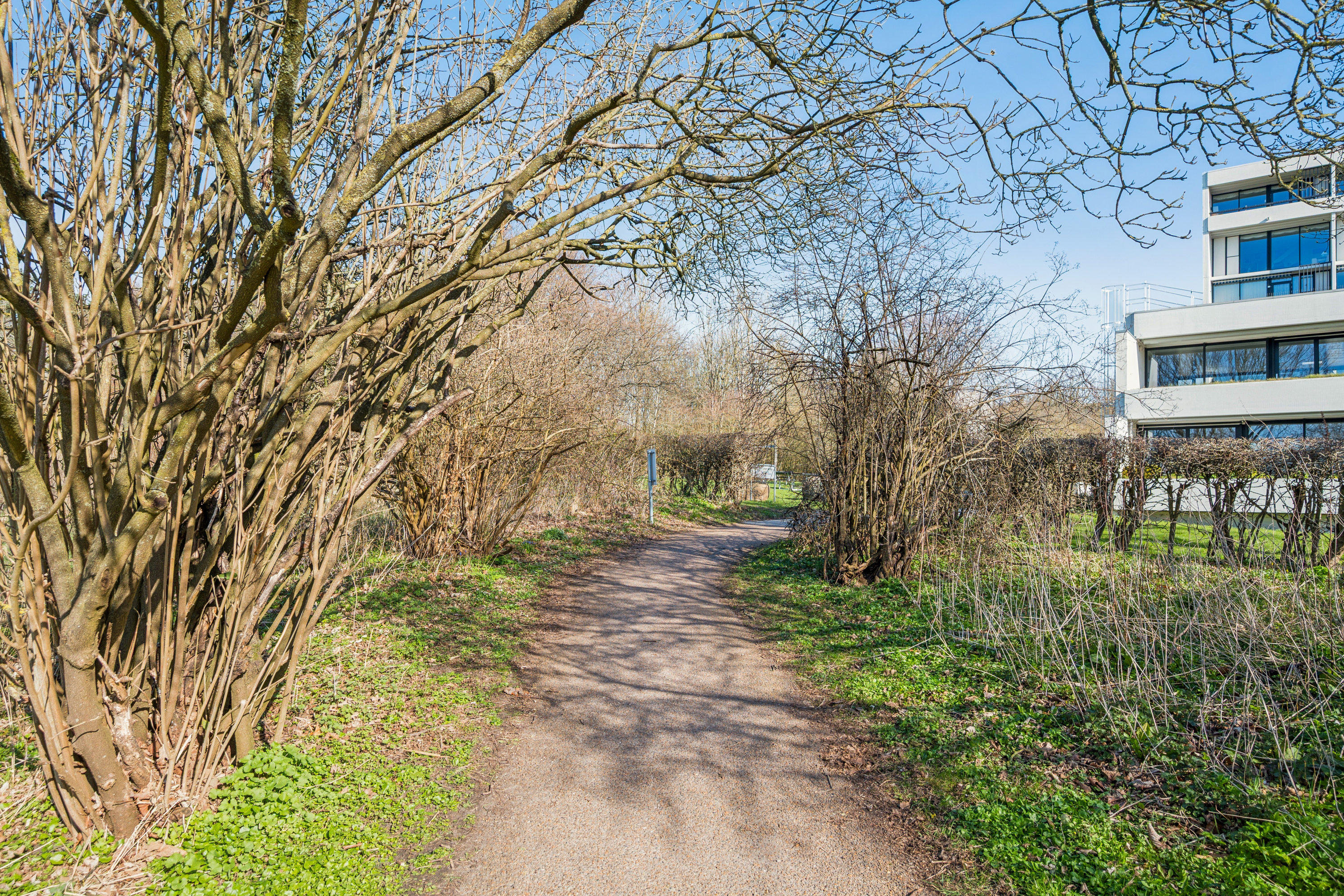 Fremhævet andet billede i fuldskærmstilstand. Billede af Vestervang 10, 1. 1011., 8000 Aarhus C
