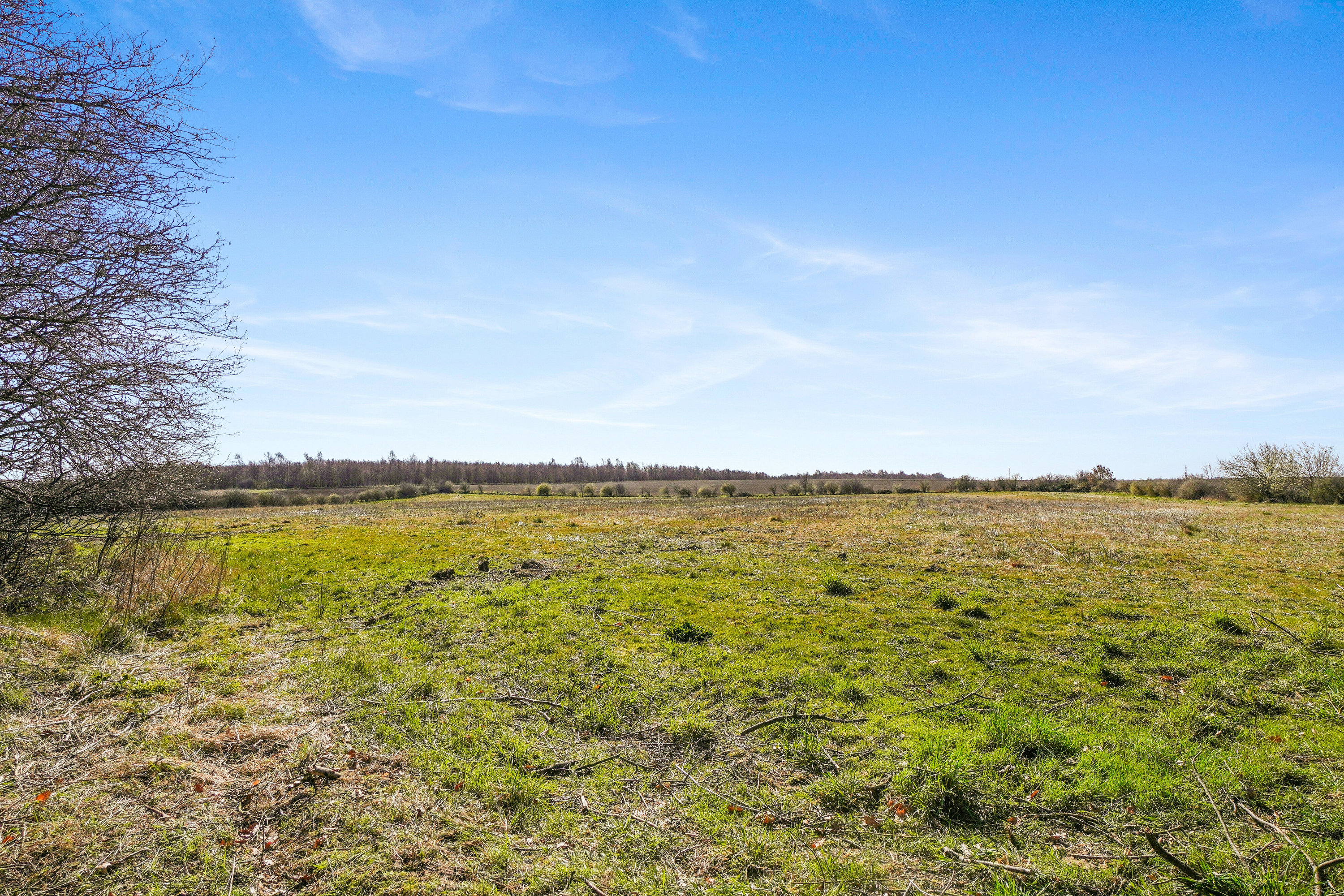 Fremhævet set fra haven billede i fuldskærmstilstand. Billede af Landevejen 40, 4060 Kirke Såby