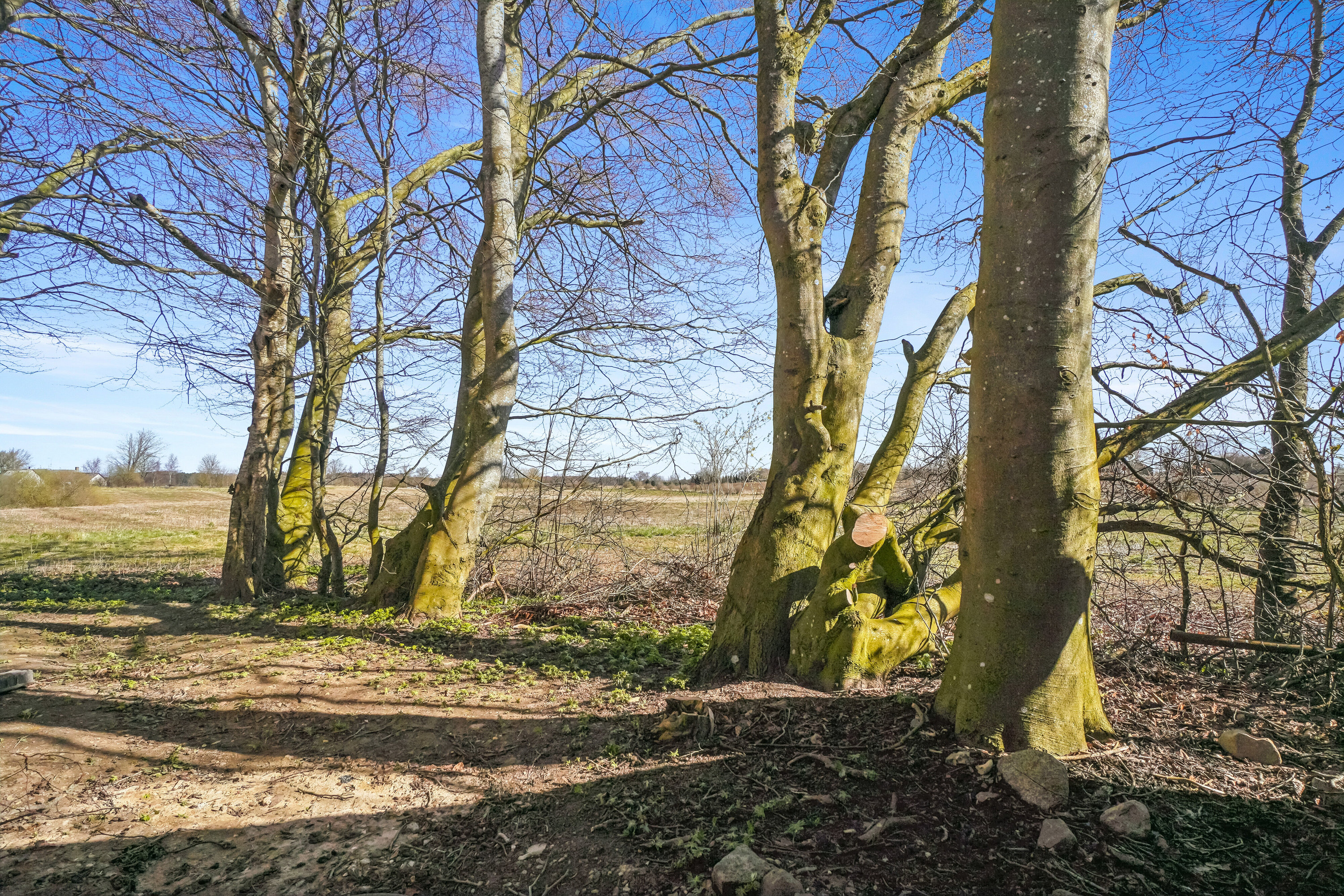 Fremhævet set fra haven billede i fuldskærmstilstand. Billede af Landevejen 40, 4060 Kirke Såby