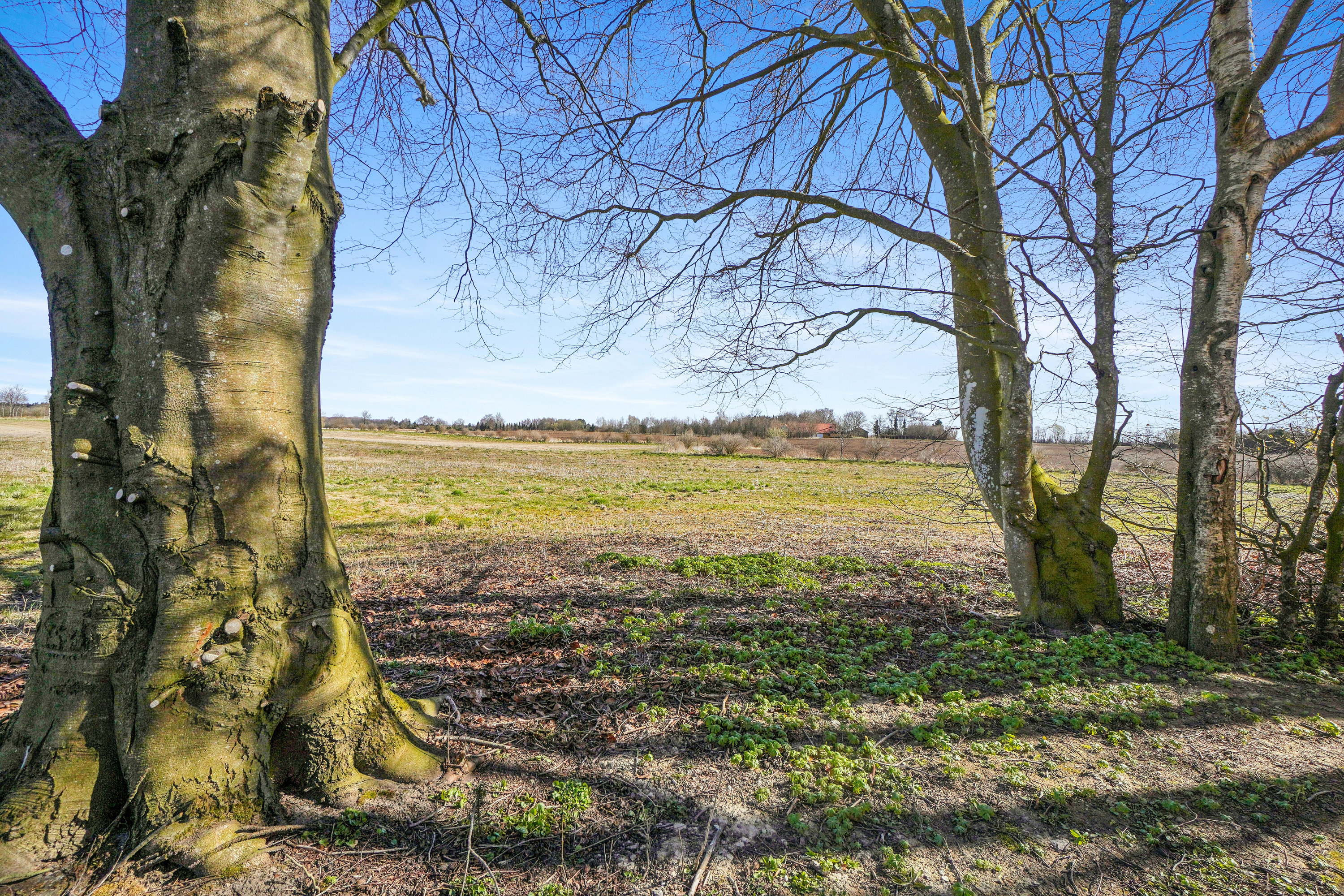 Fremhævet set fra haven billede i fuldskærmstilstand. Billede af Landevejen 40, 4060 Kirke Såby