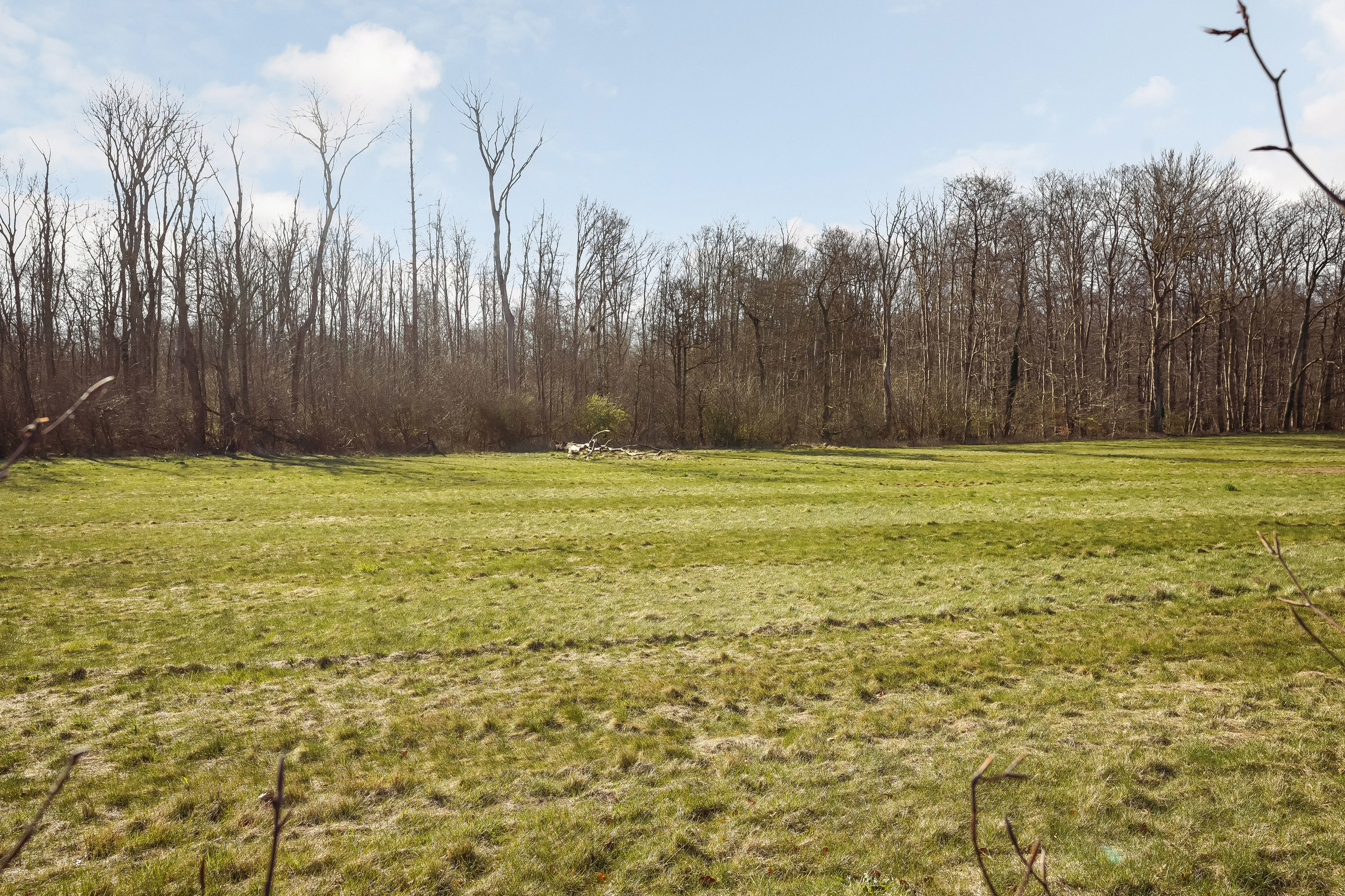 Fremhævet have billede i fuldskærmstilstand. Billede af Møllehøjvej 101, Sønder Nærå, 5792 Årslev