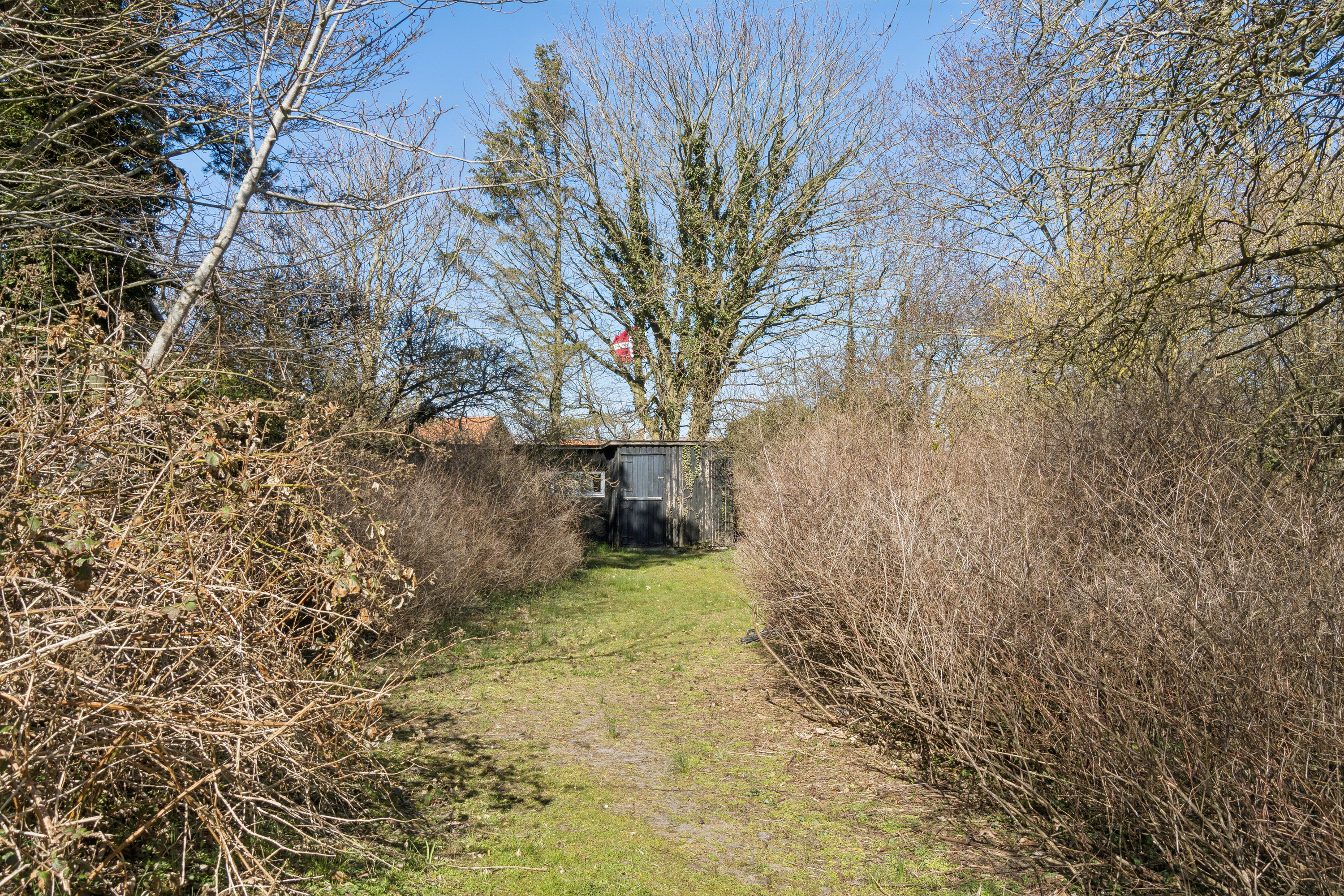 Fremhævet have billede i fuldskærmstilstand. Billede af Bøjerenden 7, Snogebæk, 3730 Nexø