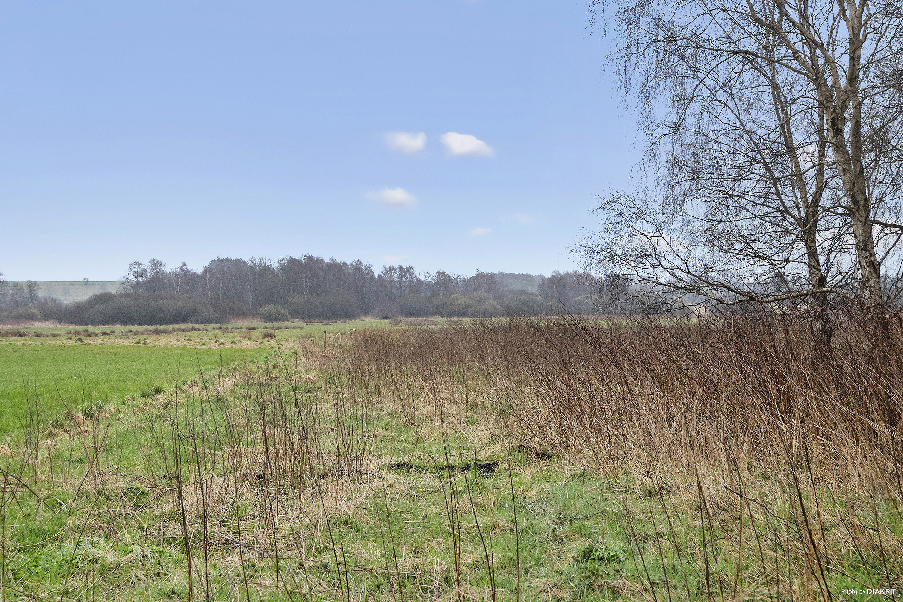 Fremhævet område billede i fuldskærmstilstand. Billede af Morsholt Mosevej 1, Morsholt, 8300 Odder