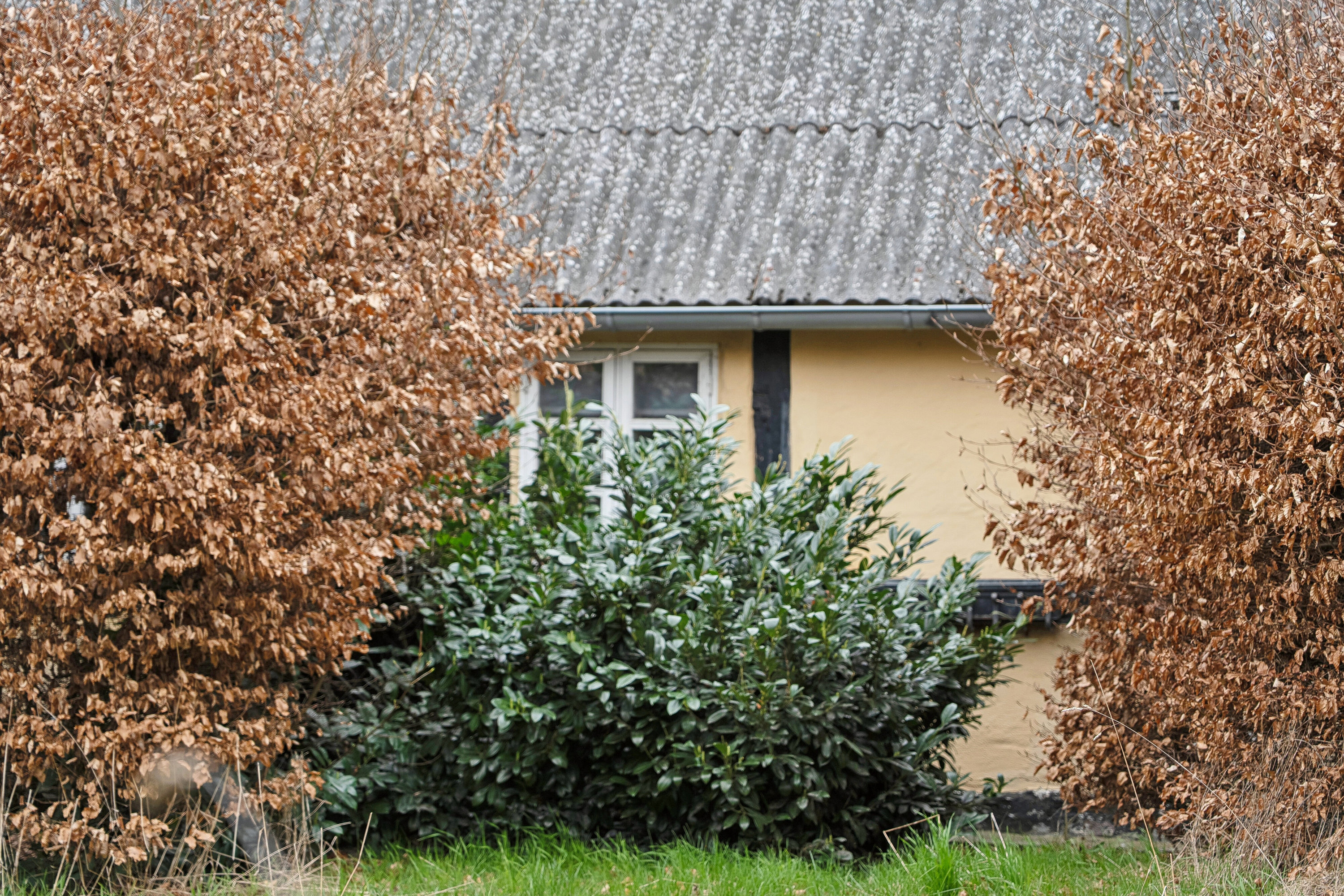 Fremhævet set fra haven billede i fuldskærmstilstand. Billede af Fæbyvej 42, 4760 Vordingborg