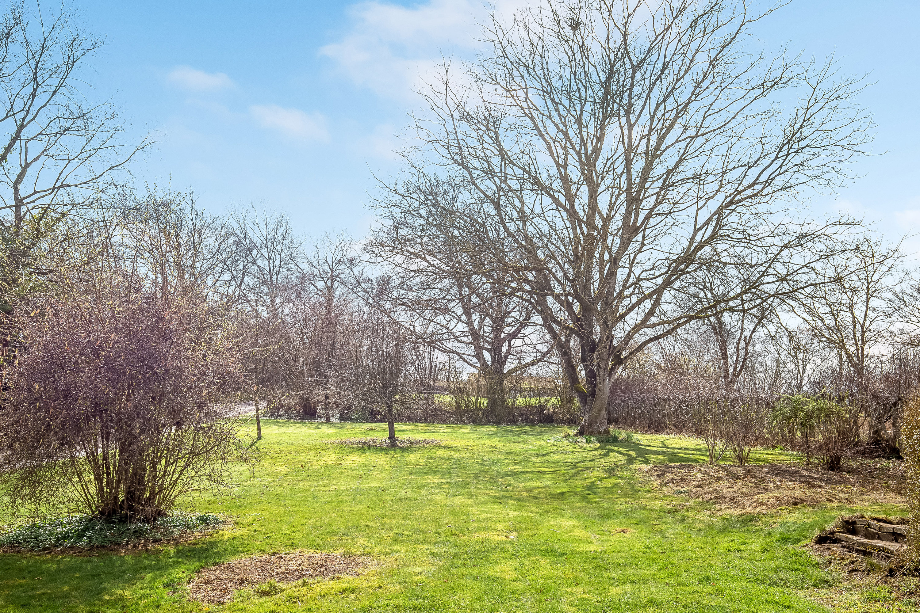 Fremhævet have billede i fuldskærmstilstand. Billede af Gl. Skartved 24, 6091 Bjert