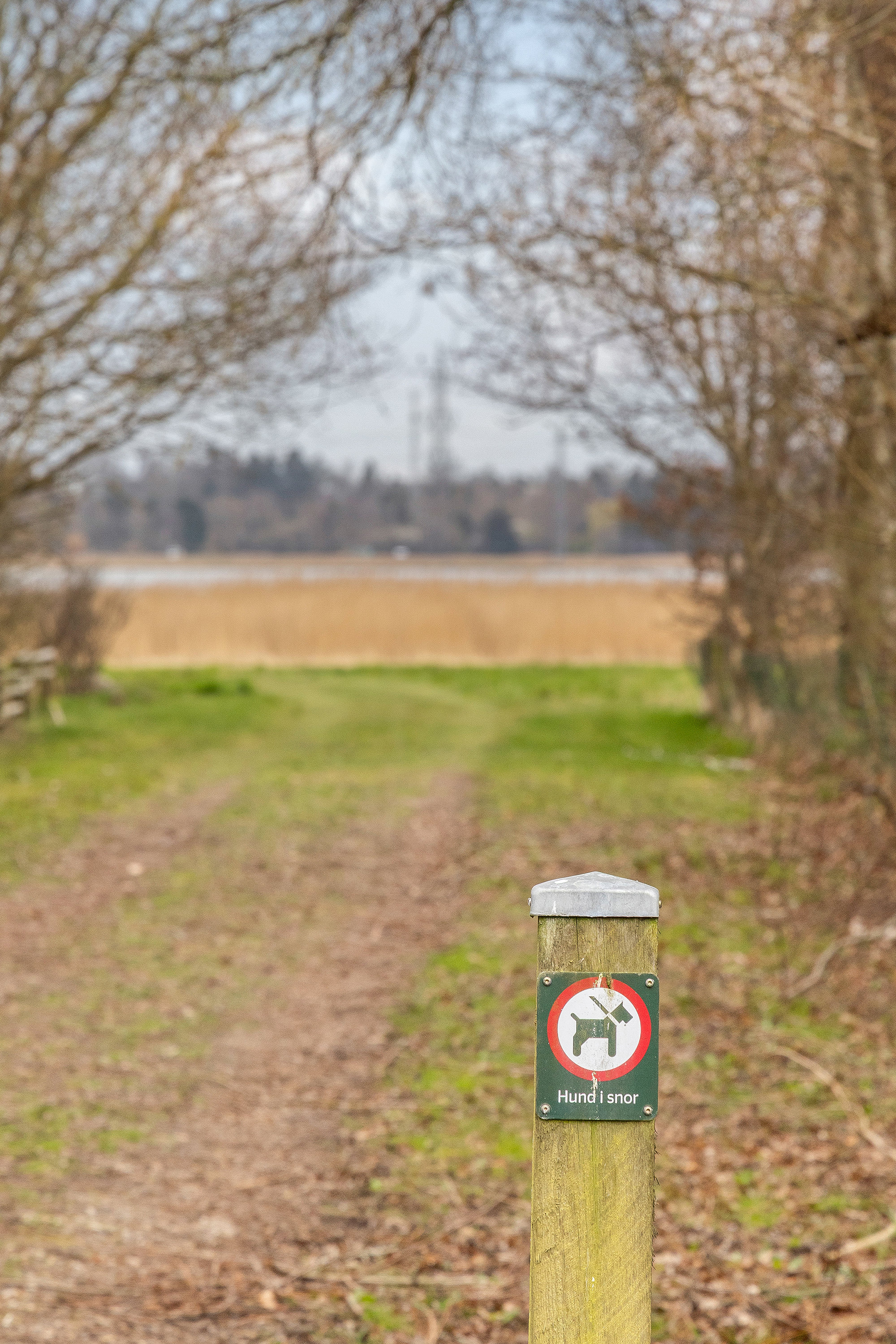 Fremhævet område billede i fuldskærmstilstand. Billede af Lysebjergvej 5, Tørslev Hage, 3630 Jægerspris