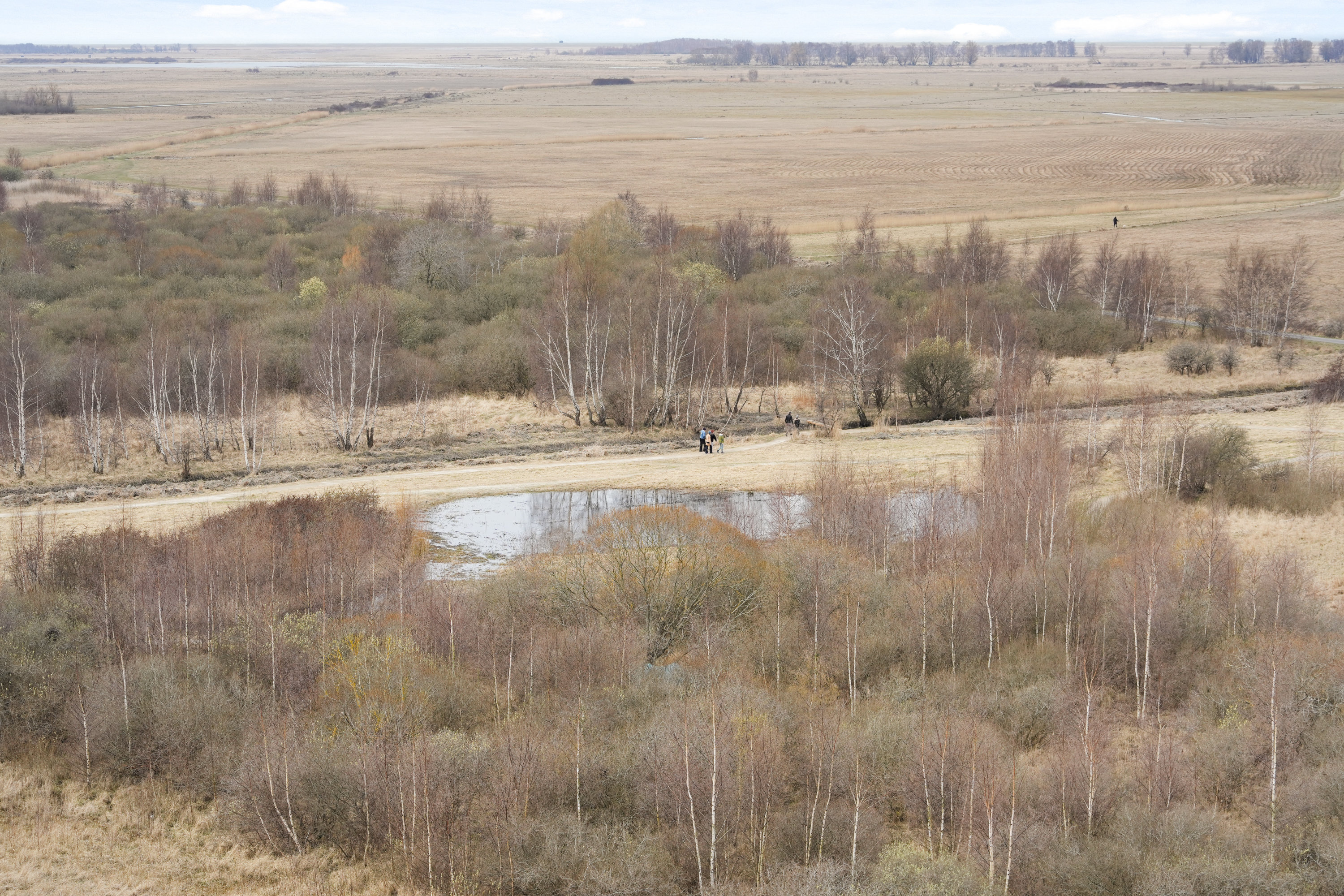 Fremhævet  billede i fuldskærmstilstand. Billede af Hannemanns Allé 12U, 9. tv., 2300 København S