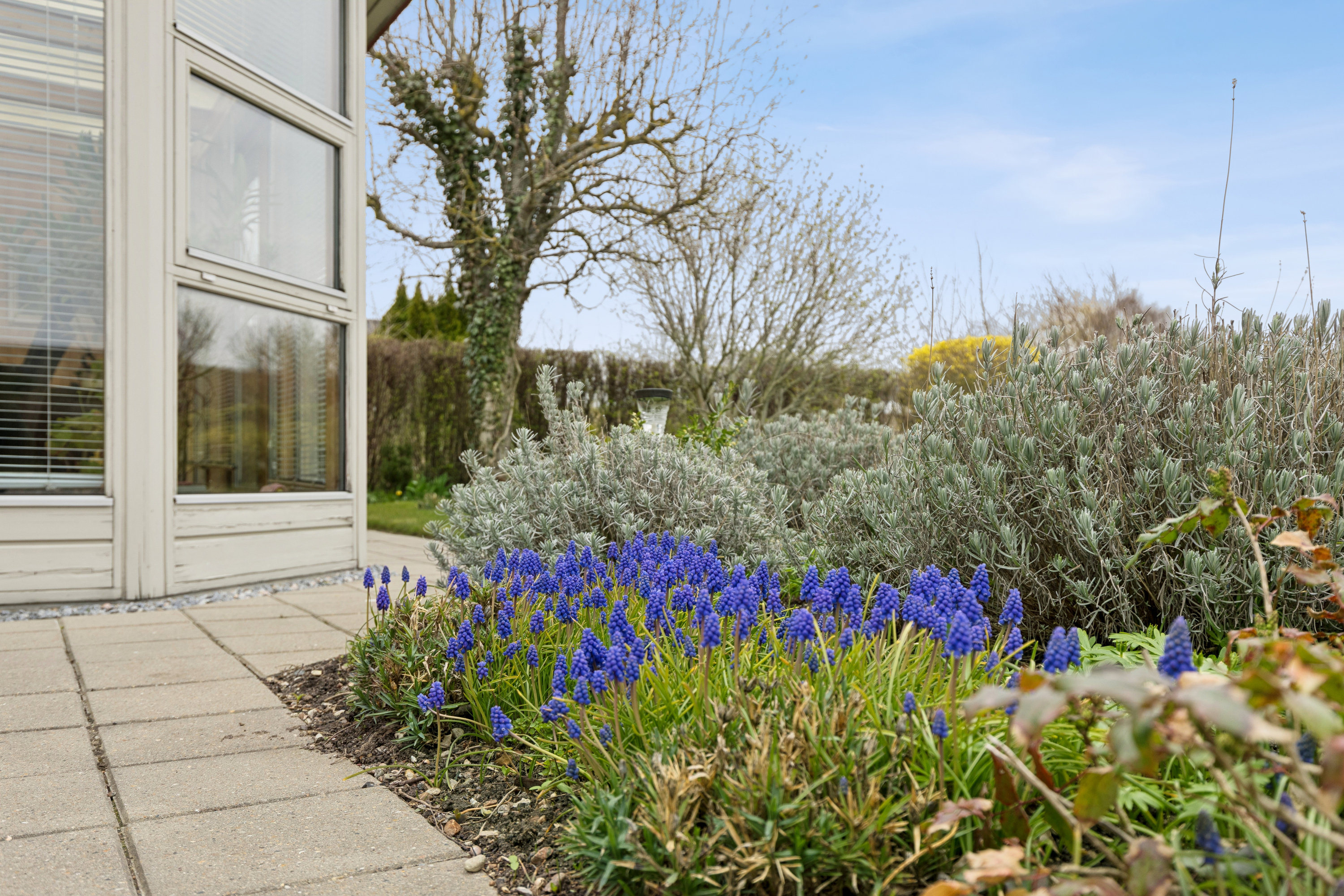 Fremhævet andet billede i fuldskærmstilstand. Billede af Tjørnevej 5, 4520 Svinninge