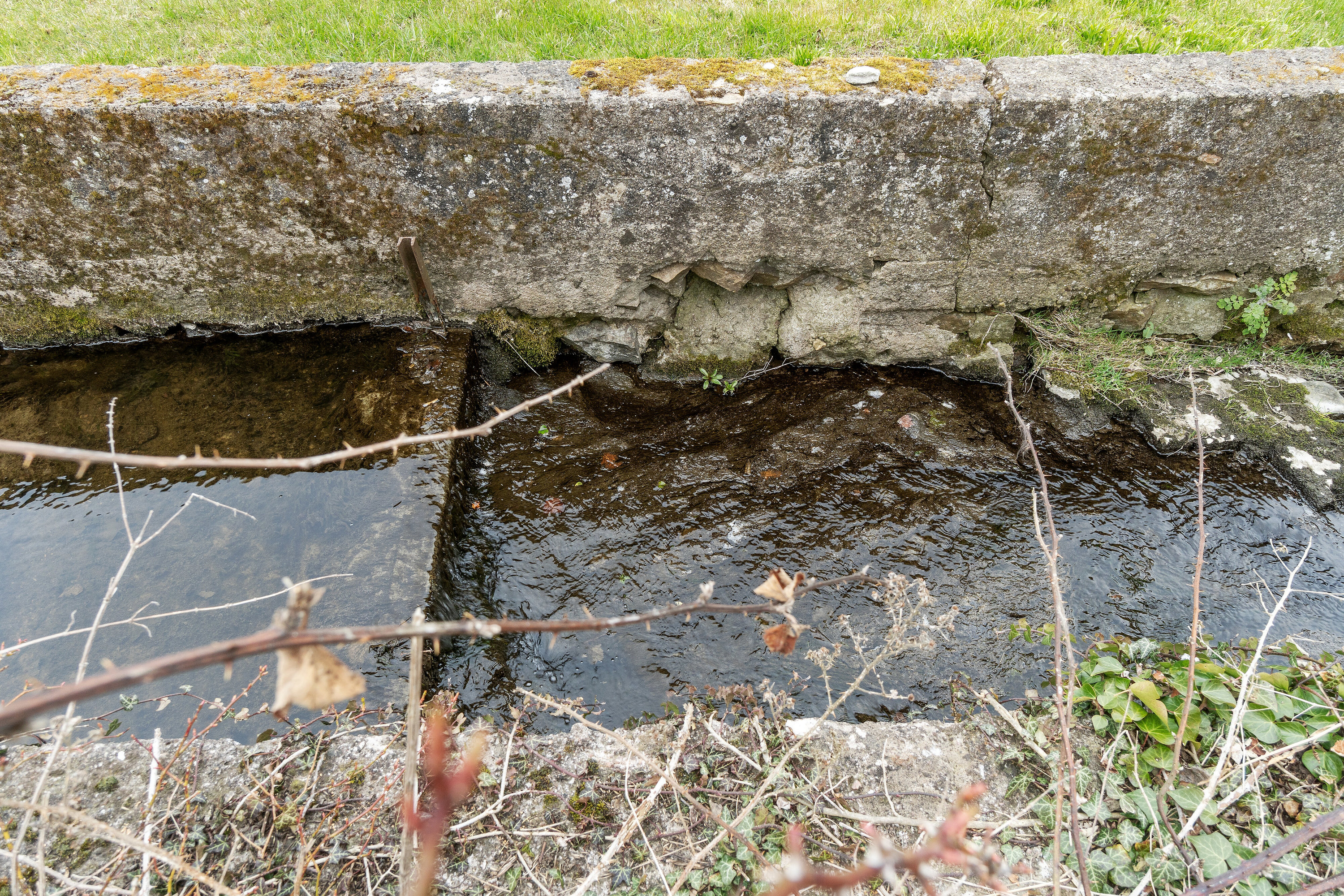 Fremhævet udendørs billede i fuldskærmstilstand. Billede af Mosevej 9, Nexø, 3730 Nexø