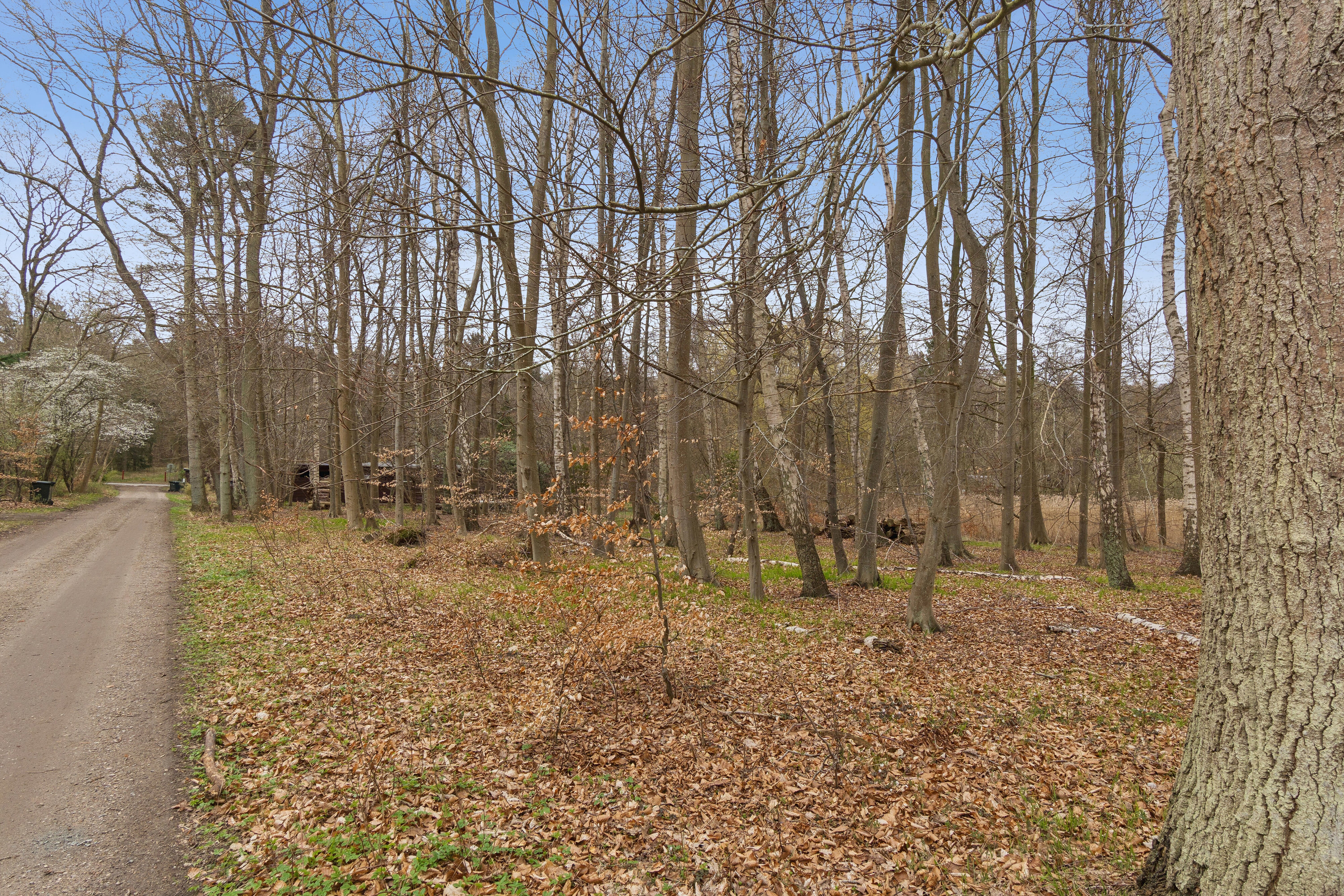 Fremhævet udsigt billede i fuldskærmstilstand. Billede af Knarbo Mose 3, Kårup Skov, 4540 Fårevejle